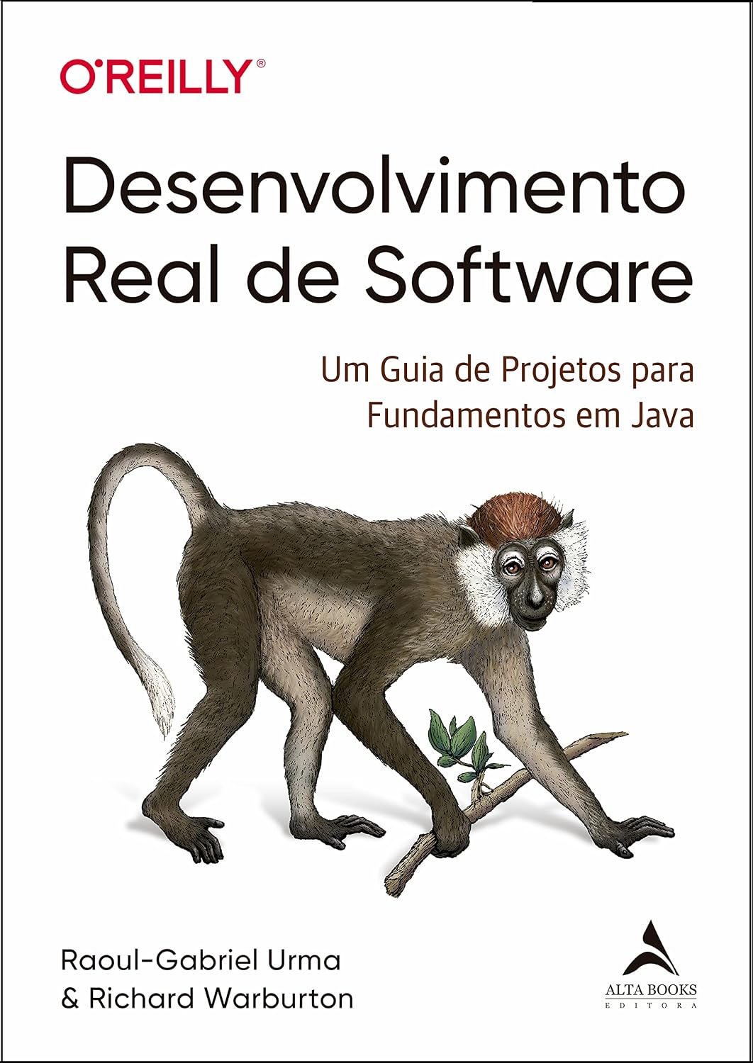 Desenvolvimento Real De Software: Um Guia de Projetos para Fundamentos em Java baixar o livro de graça