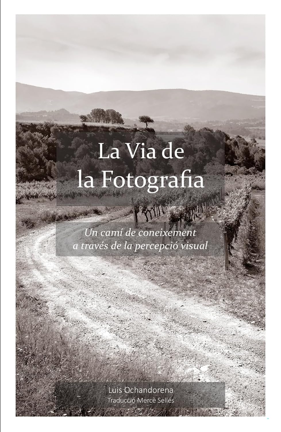 La Via de la Fotografia: Un camí de coneixement a través de la percepció visual (Catalan Edition) baixar o livro de graça