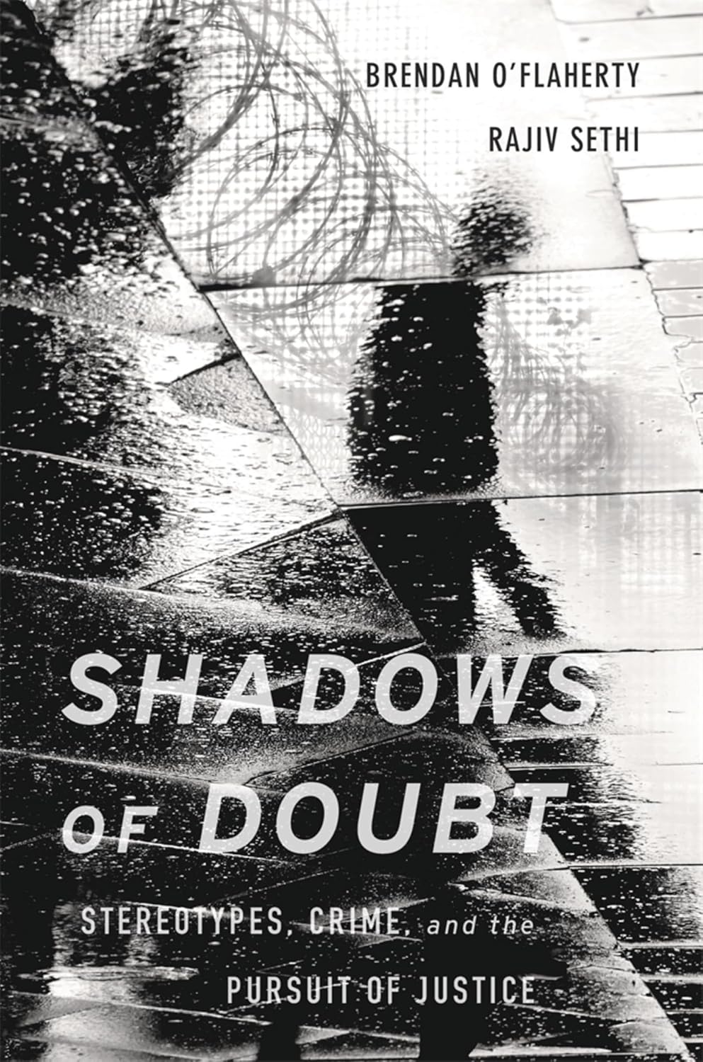 Shadows of Doubt: Stereotypes, Crime, and the Pursuit of Justice (English Edition) baixar livro de graça