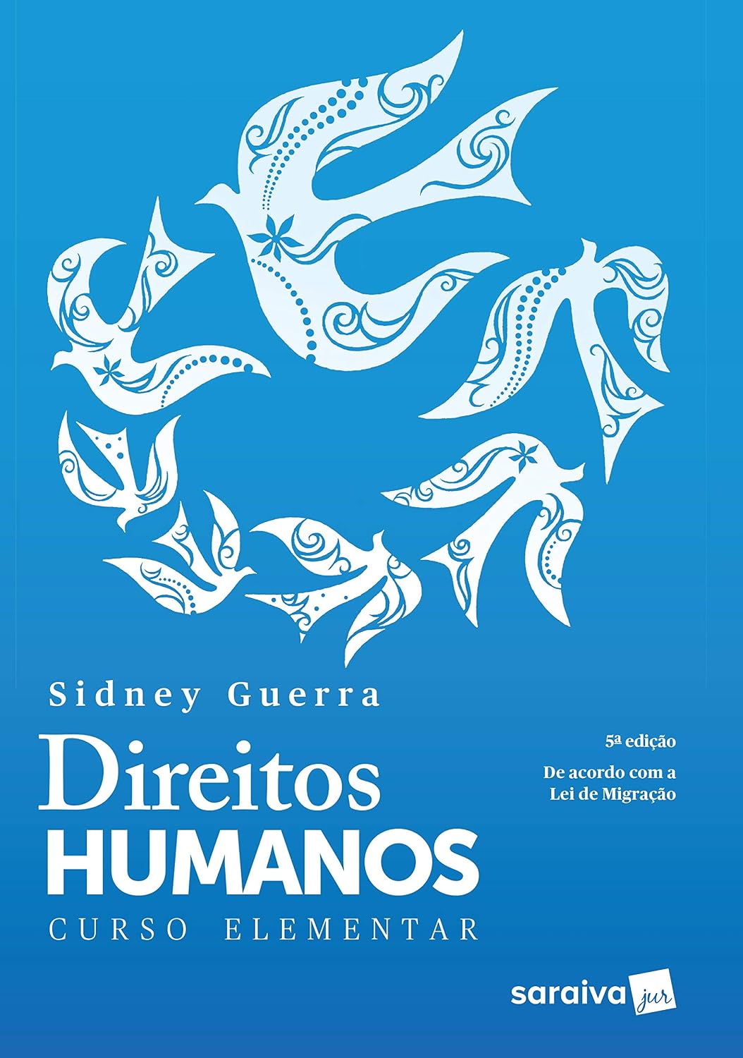 Direitos humanos: Curso elementar - 5ª edição de 2017 baixar livro de graça