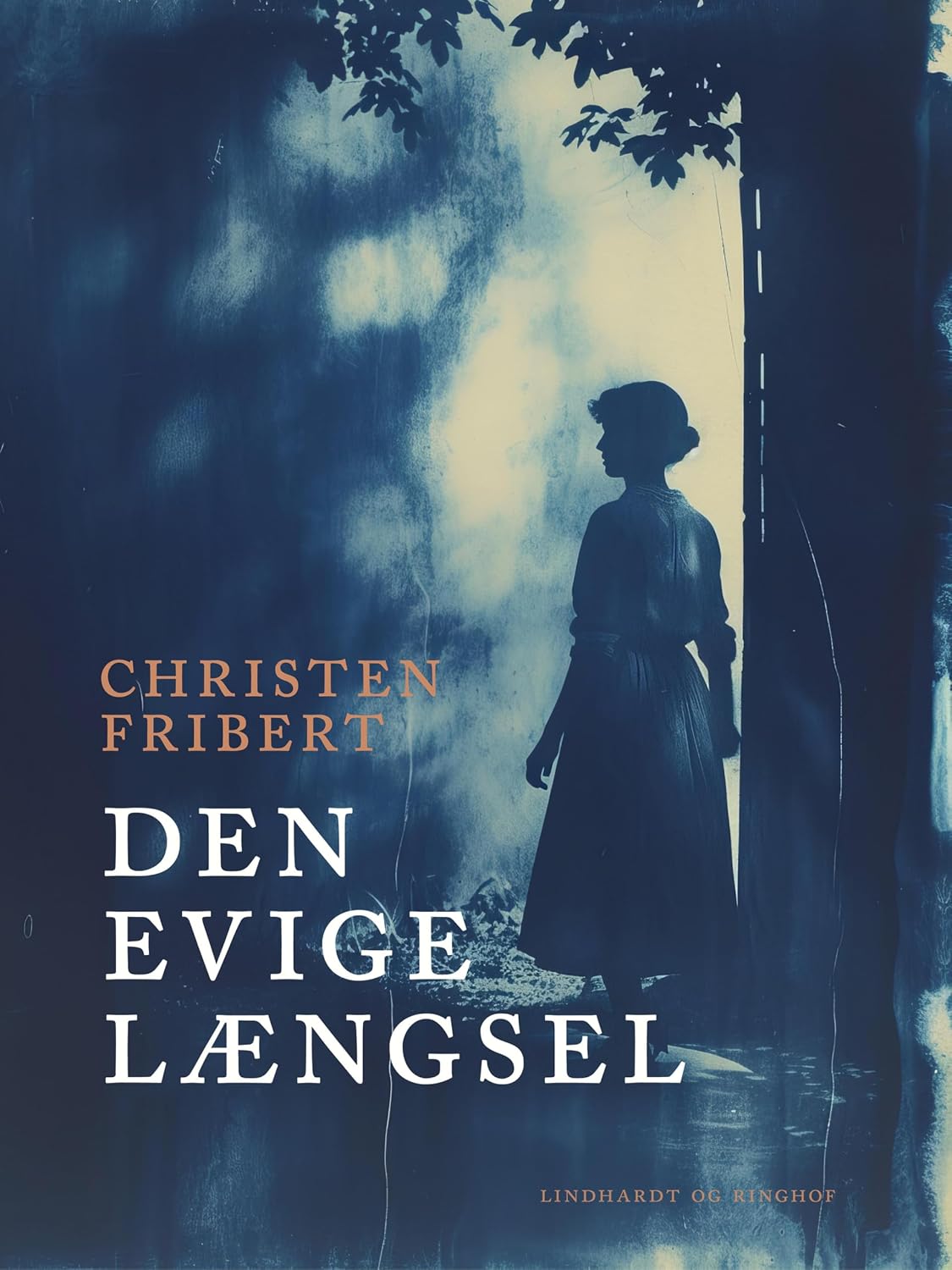 capítulo por capítulo baixar Den evige længsel: En kunstnerindes livsroman (Danish Edition)