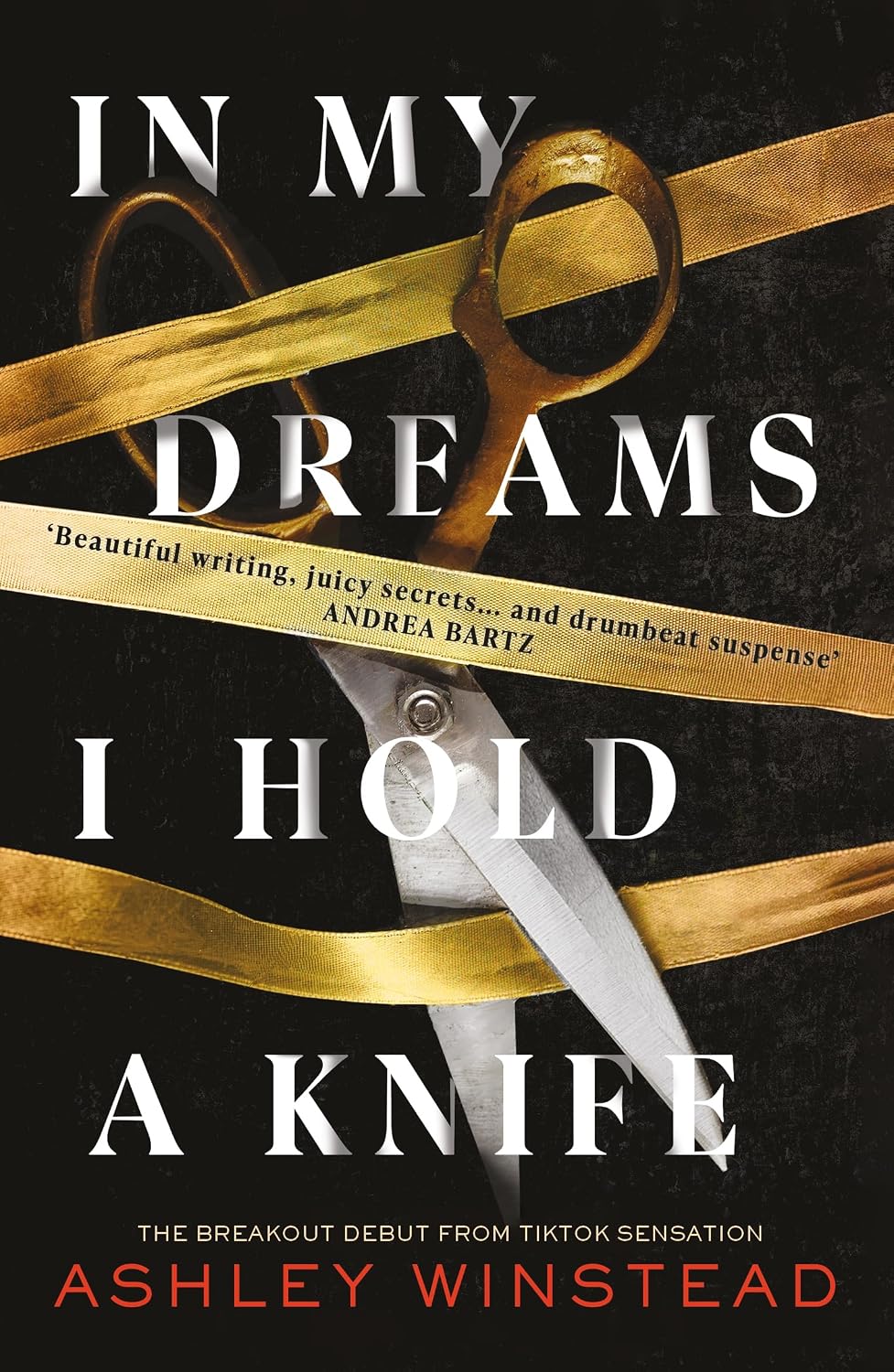 In My Dreams I Hold a Knife: TikTok made me buy it! The breakout dark academia thriller everyone's talking about (English Edition) baixar o livro de graça