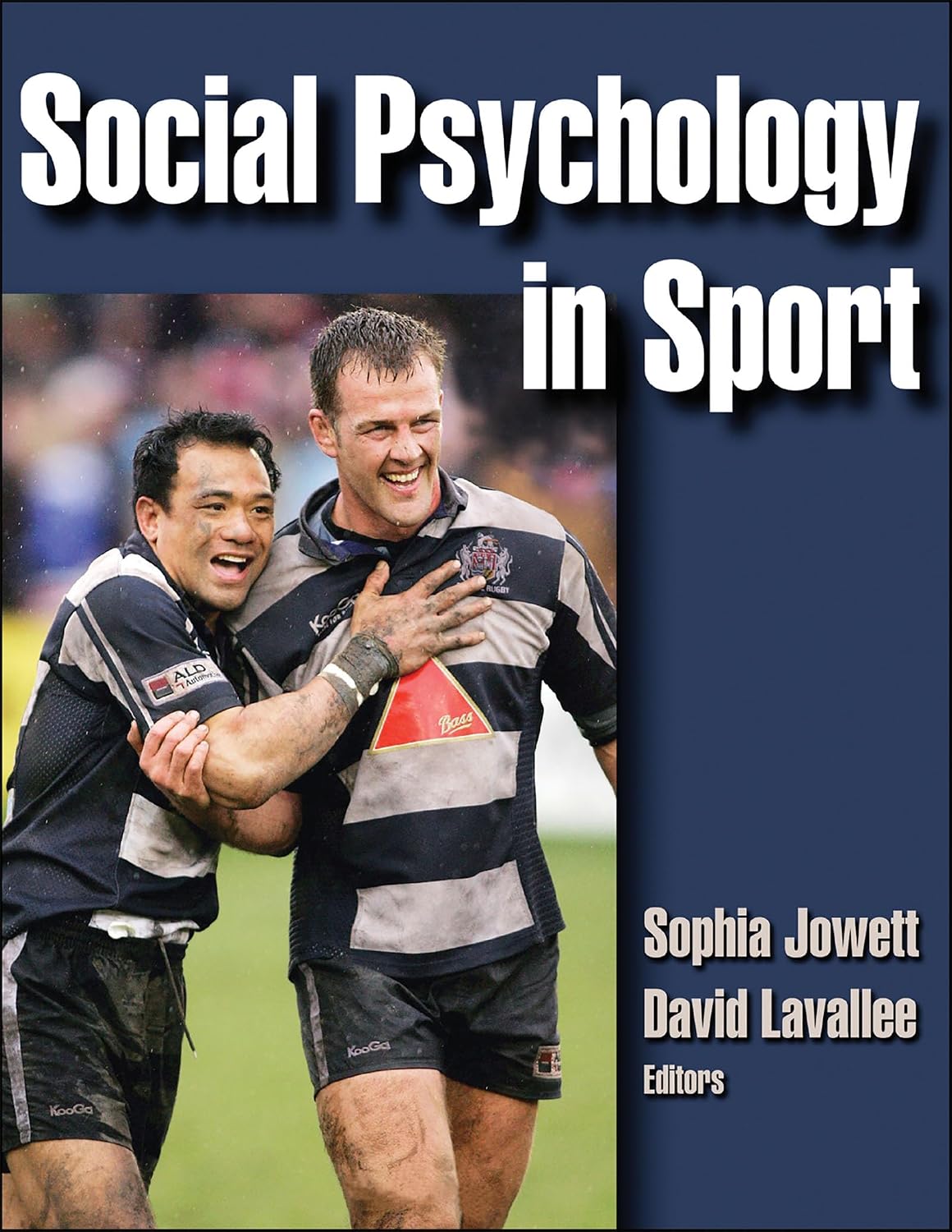 Social Psychology in Sport baixar livro de graça