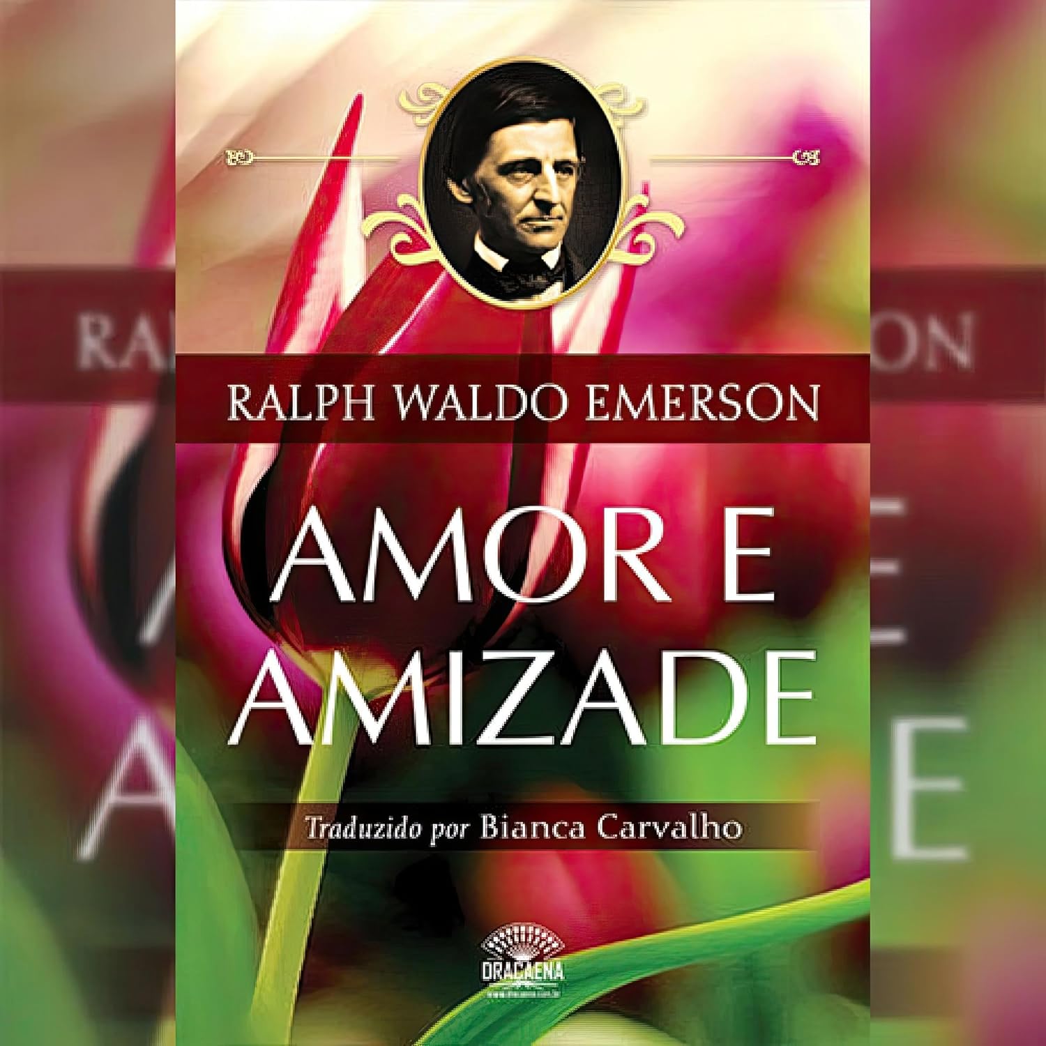 Amor e Amizade baixar o livro de graça