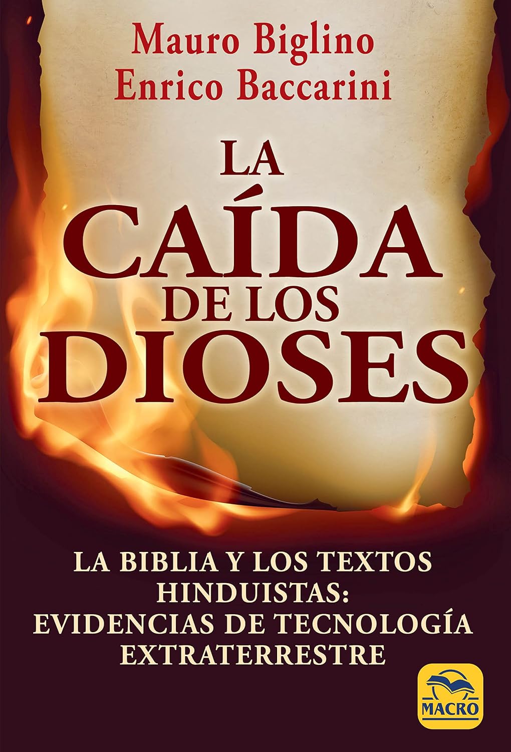 La caída de los dioses: La Biblia y los textos hinduistas: evidencias de tecnología extraterrestre: 14 baixar o livro de graça