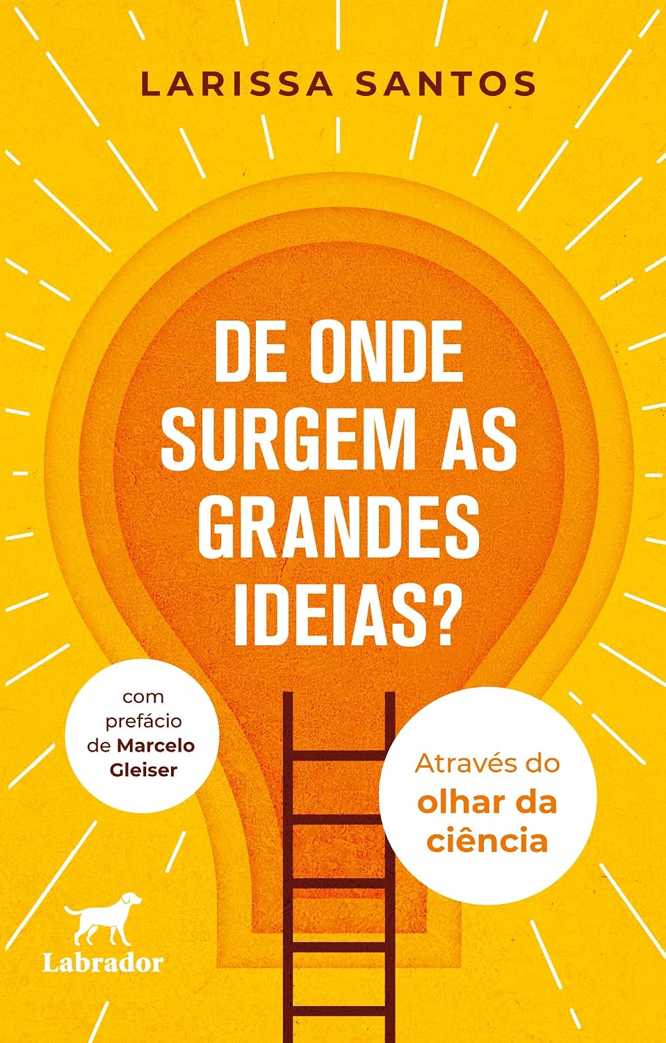 De onde surgem as grandes ideias?: através do olhar da ciência baixar livro de graça