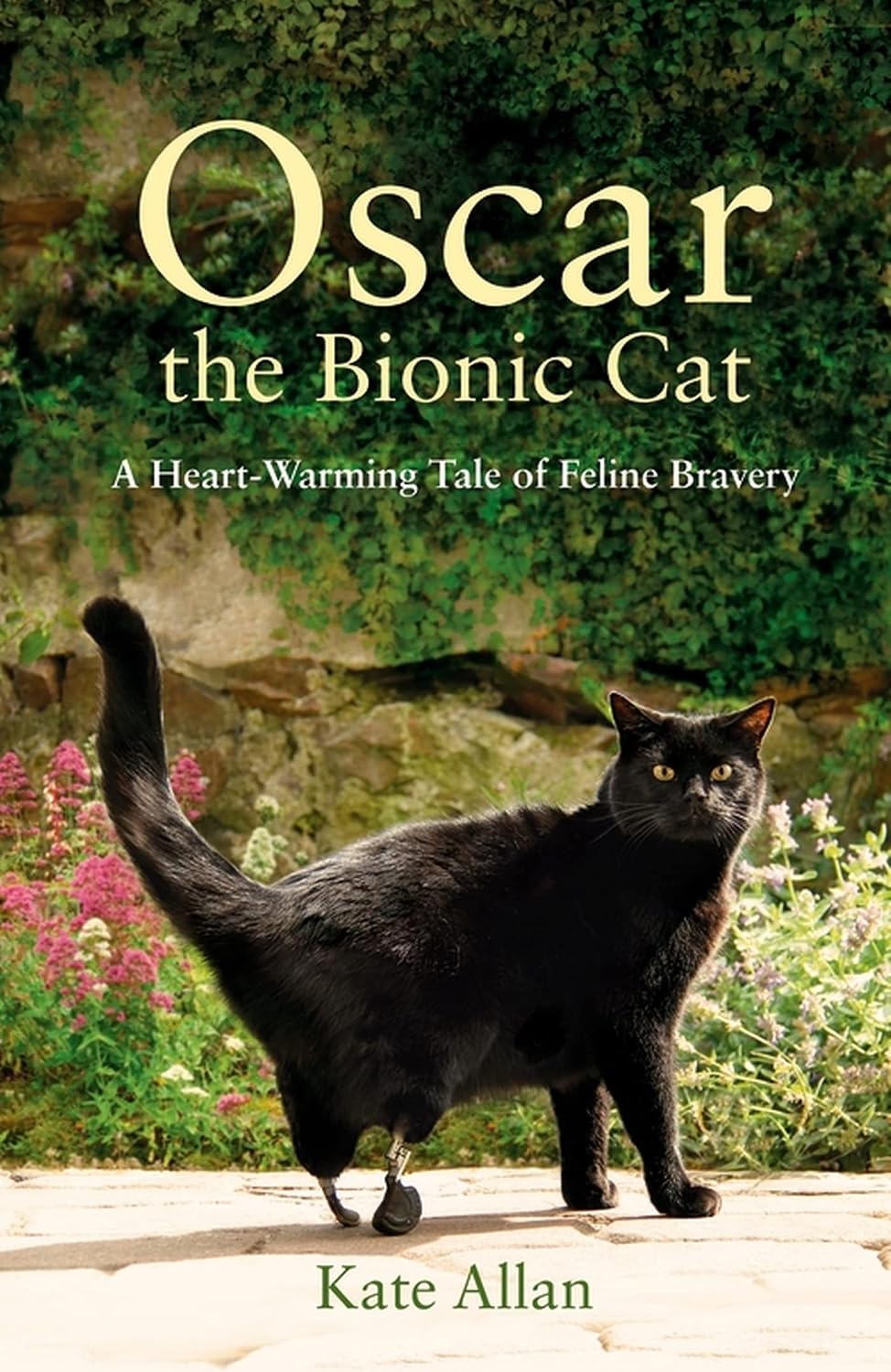 Oscar: The Bionic Cat: A Heart-Warming Tale of Feline Bravery (English Edition) baixar livro de graça