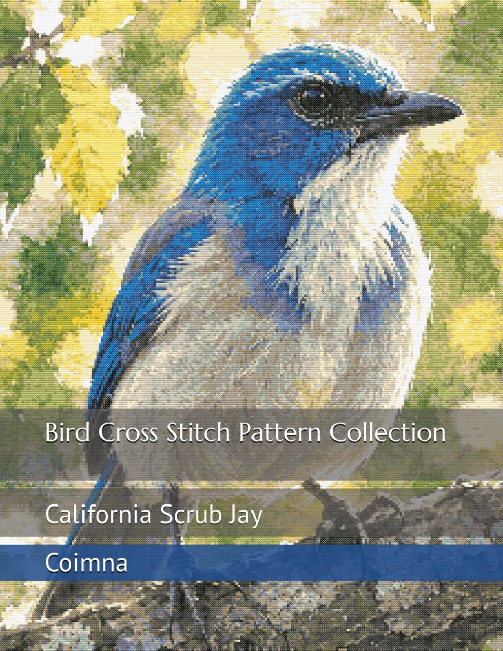 Bird Cross Stitch Pattern Collection: California Scrub Jay