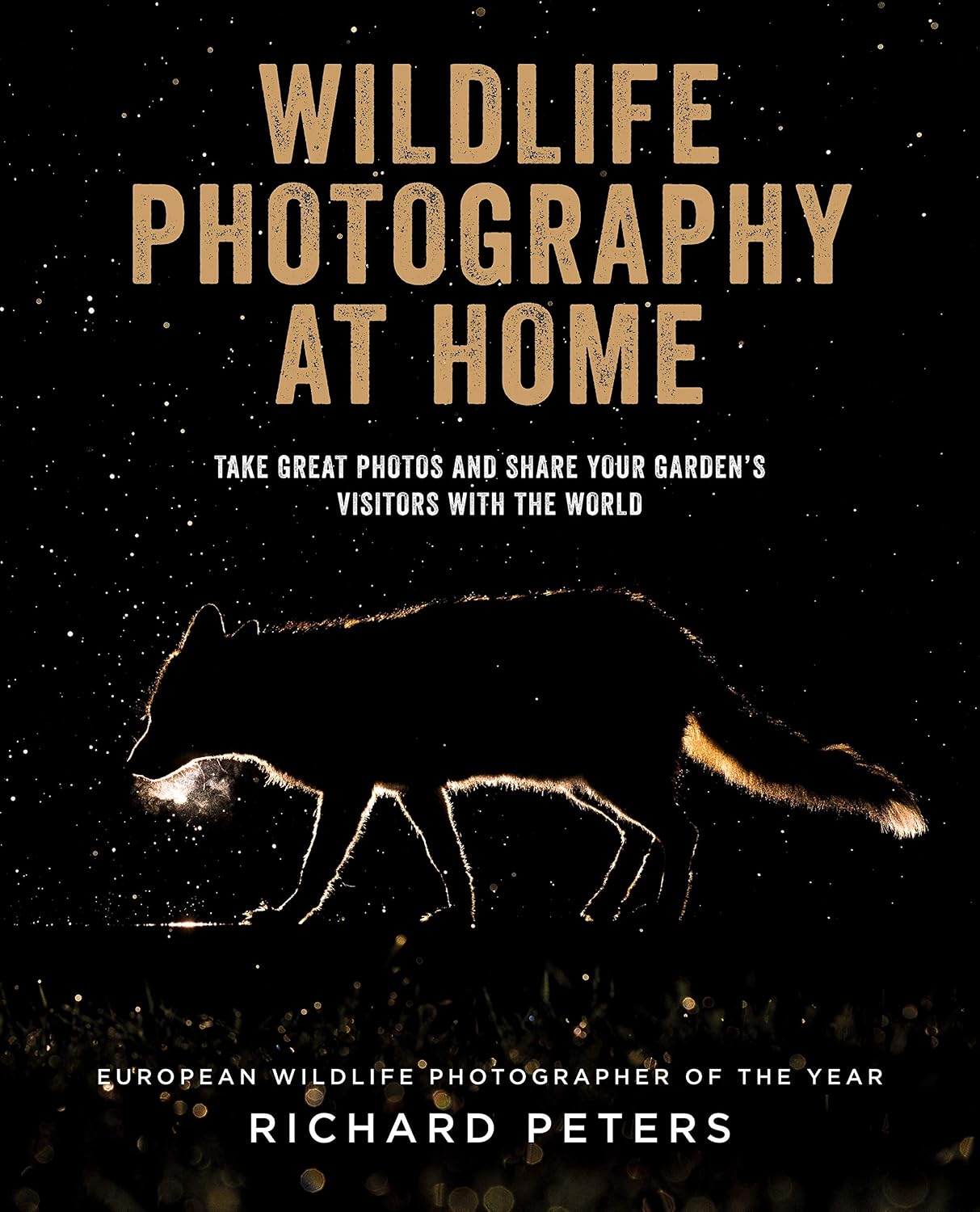 Wildlife Photography at Home (English Edition)