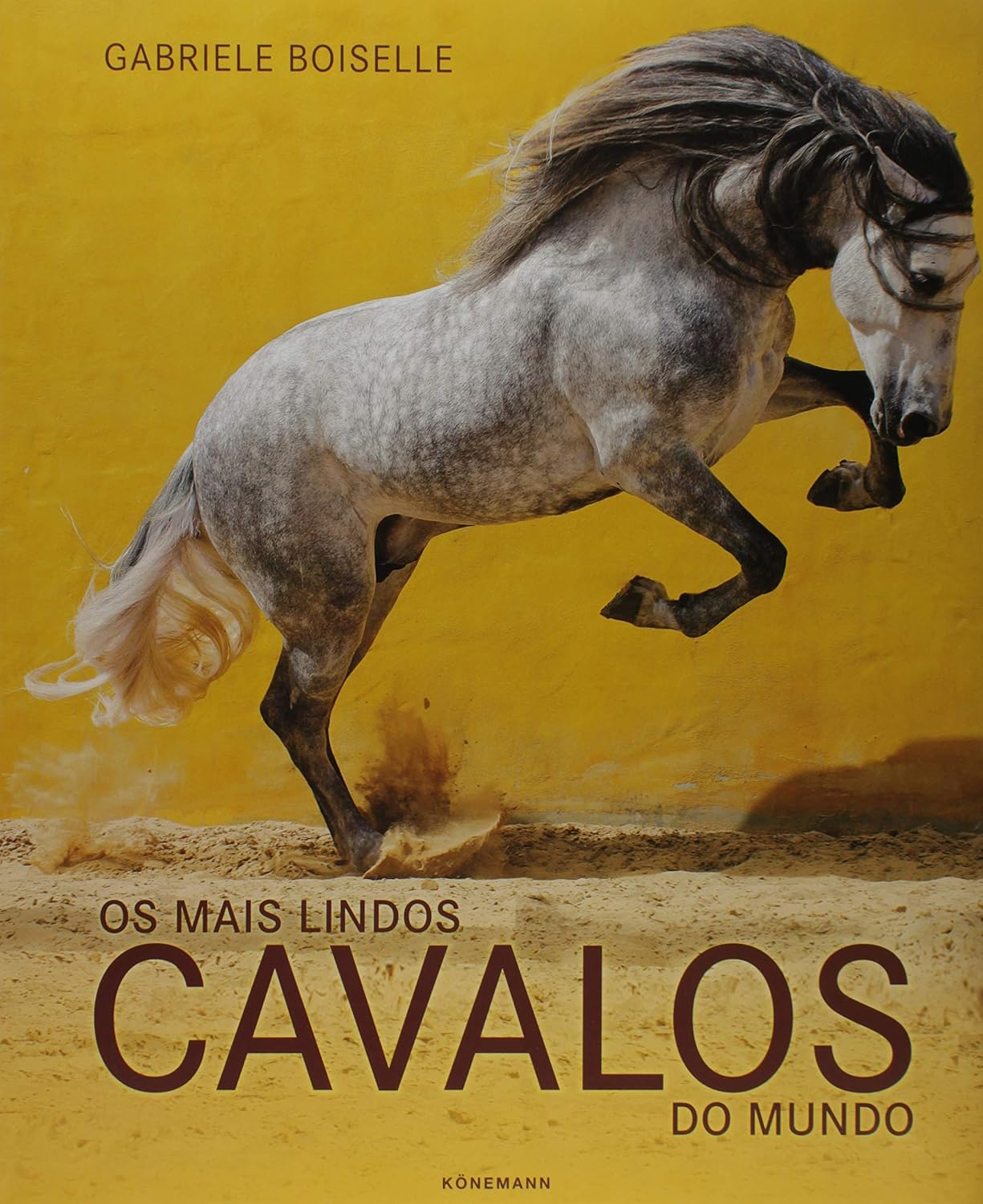 Os Mais Lindos Cavalos do Mundo