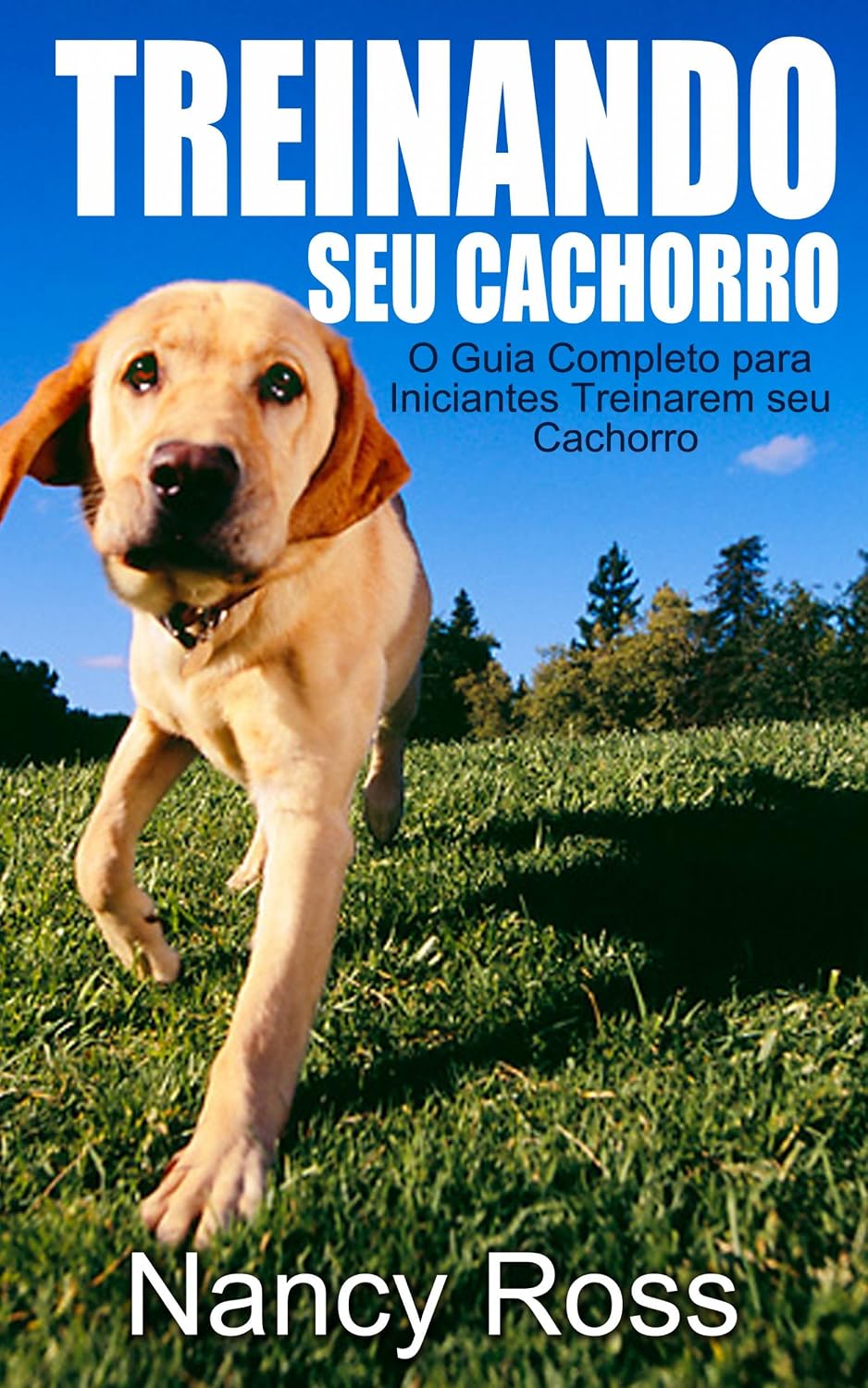 ler totalmente Treinando seu Cachorro. O Guia Completo para Iniciantes Treinarem seu Cachorro.