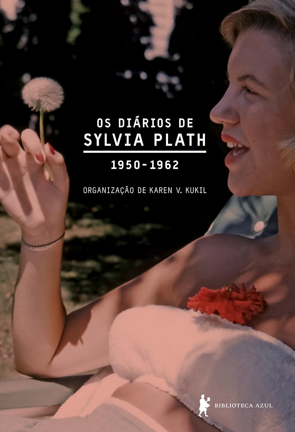 Diários de Sylvia Plath: 1950-1962 baixar livro de graça
