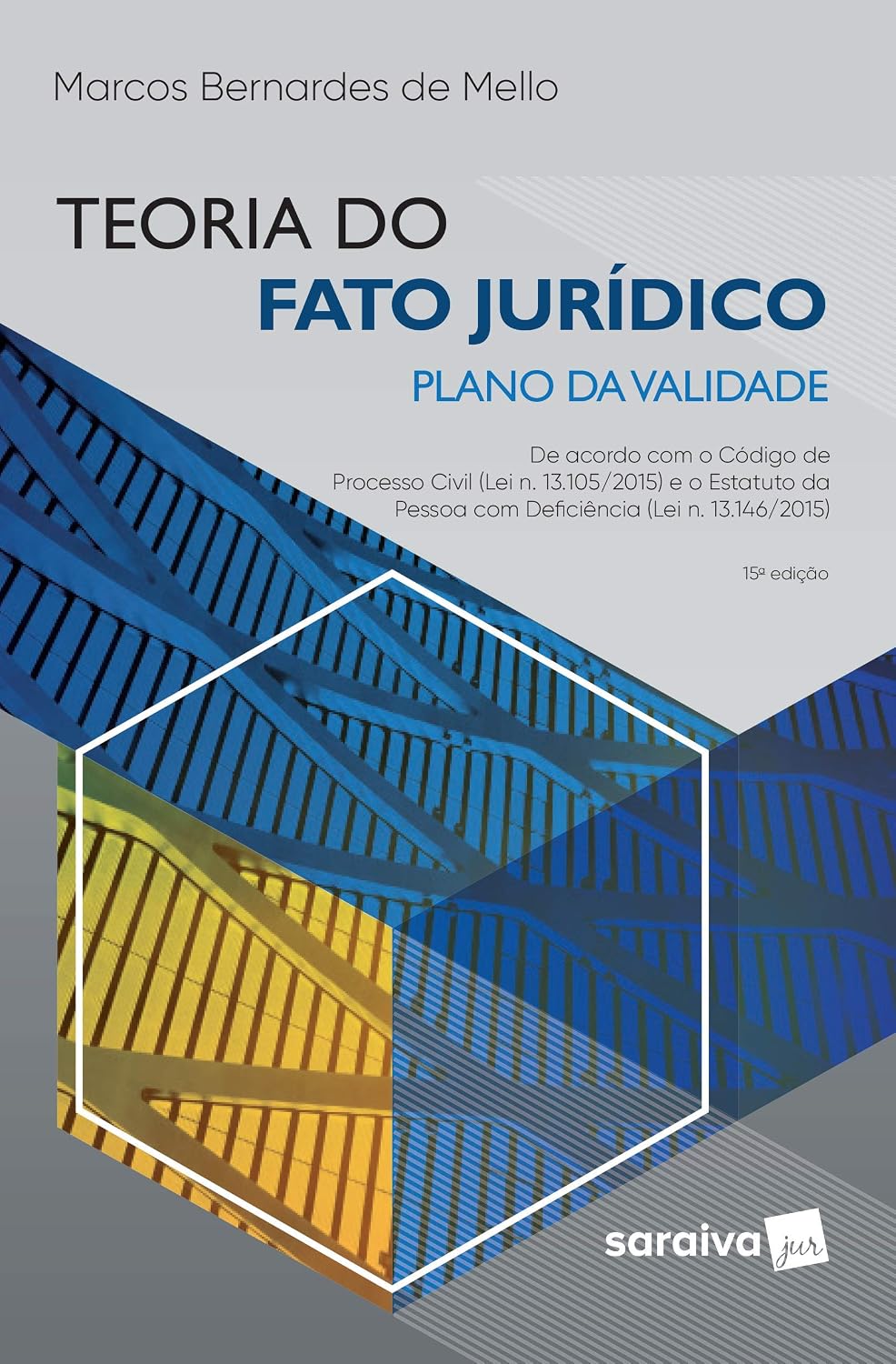 Teoria do Fato Jurídico - 15ª Edição 2019: Plano da Validade baixar livro de graça