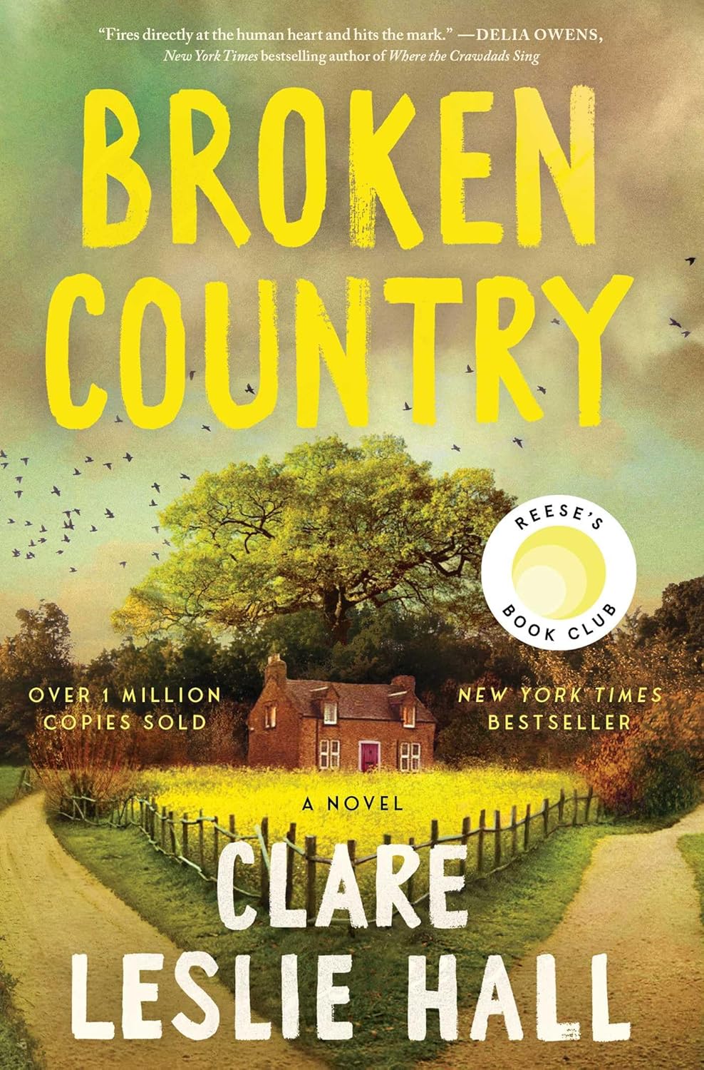 Broken Country (Reese's Book Club) baixar o livro de graça