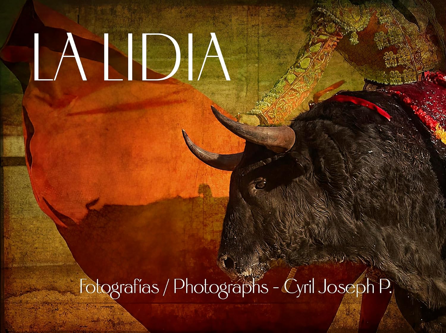 ler totalmente LA LIDIA: Photographs - Cyril Joseph P. (English Edition)