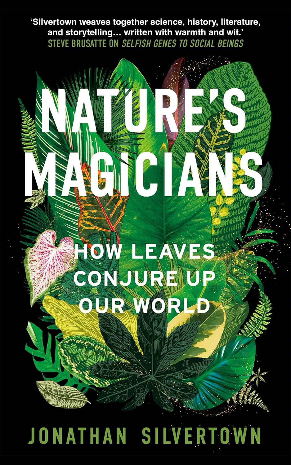 Nature's Magicians: The Hidden Powers of Leaves (English Edition) baixar livro de graça