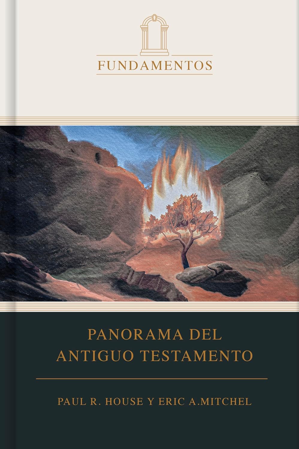 Panorama del Antiguo Testamento baixar livro de graça