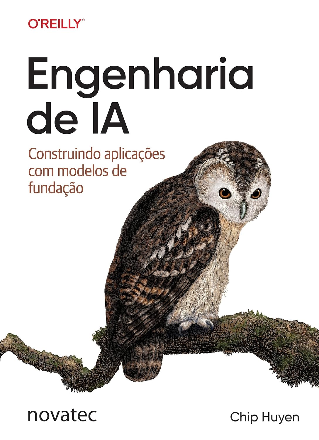 ler totalmente Engenharia de IA: Construindo aplicações com modelos de fundação