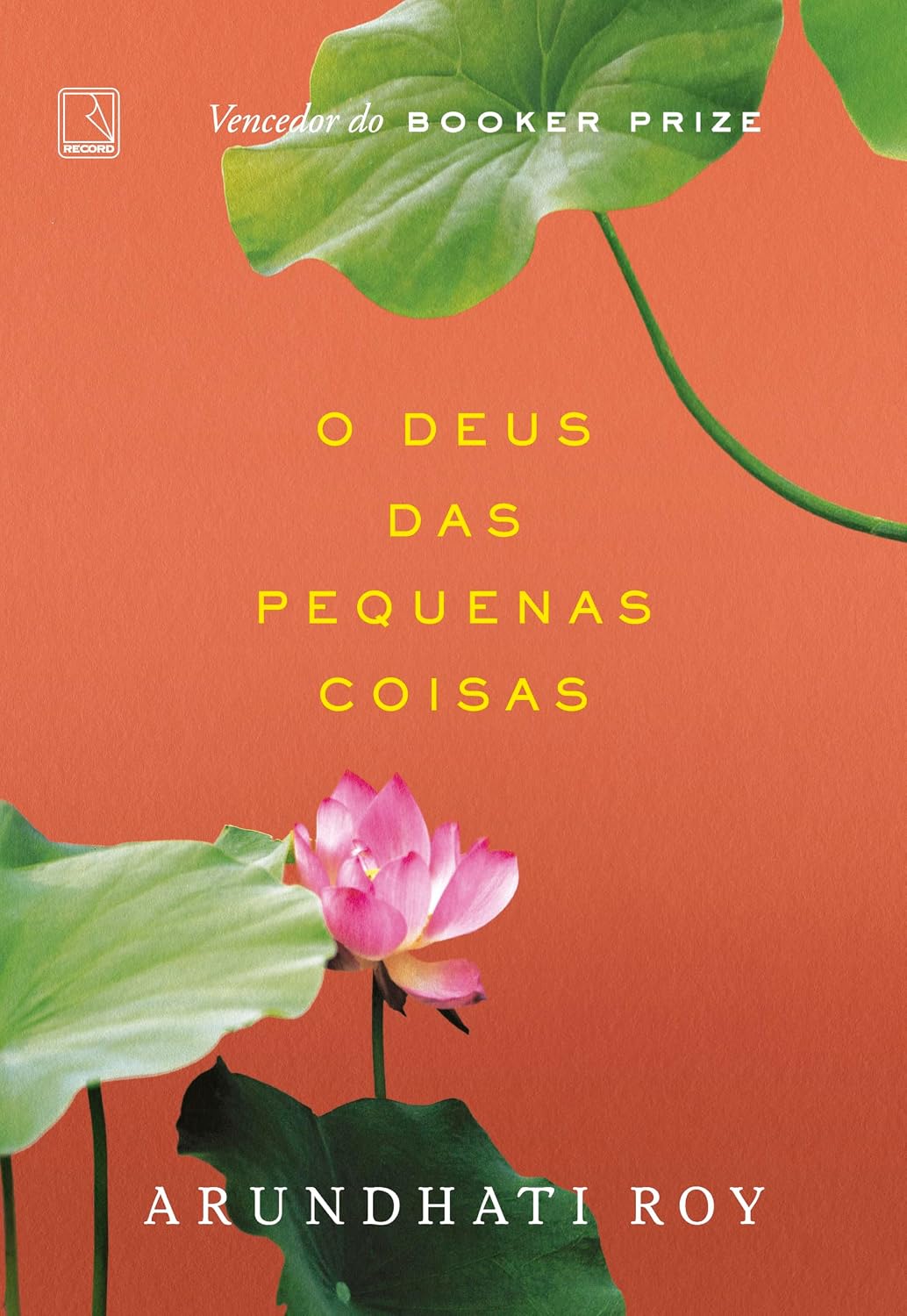 O Deus das pequenas coisas baixar livro de graça
