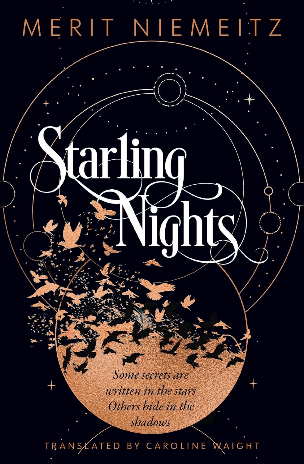 ler totalmente Starling Nights: A brand-new gripping romance for fans of dark academia in 2026! (English Edition)