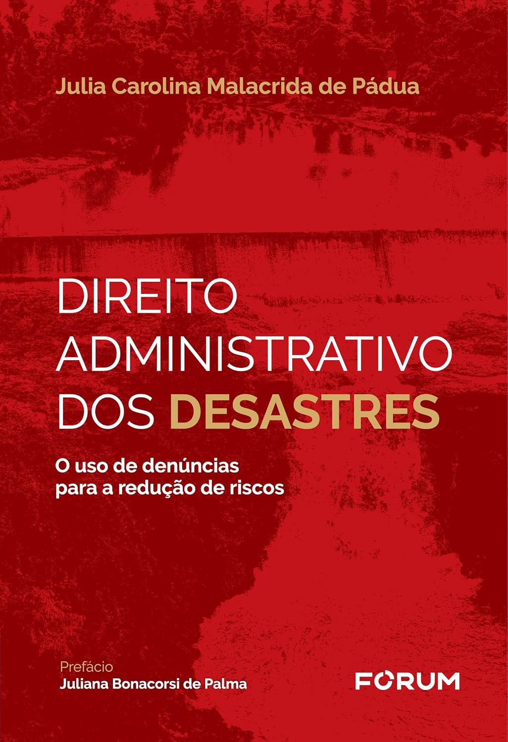 ler totalmente Direito administrativo dos desastres: o uso de denúncias para a redução de riscos