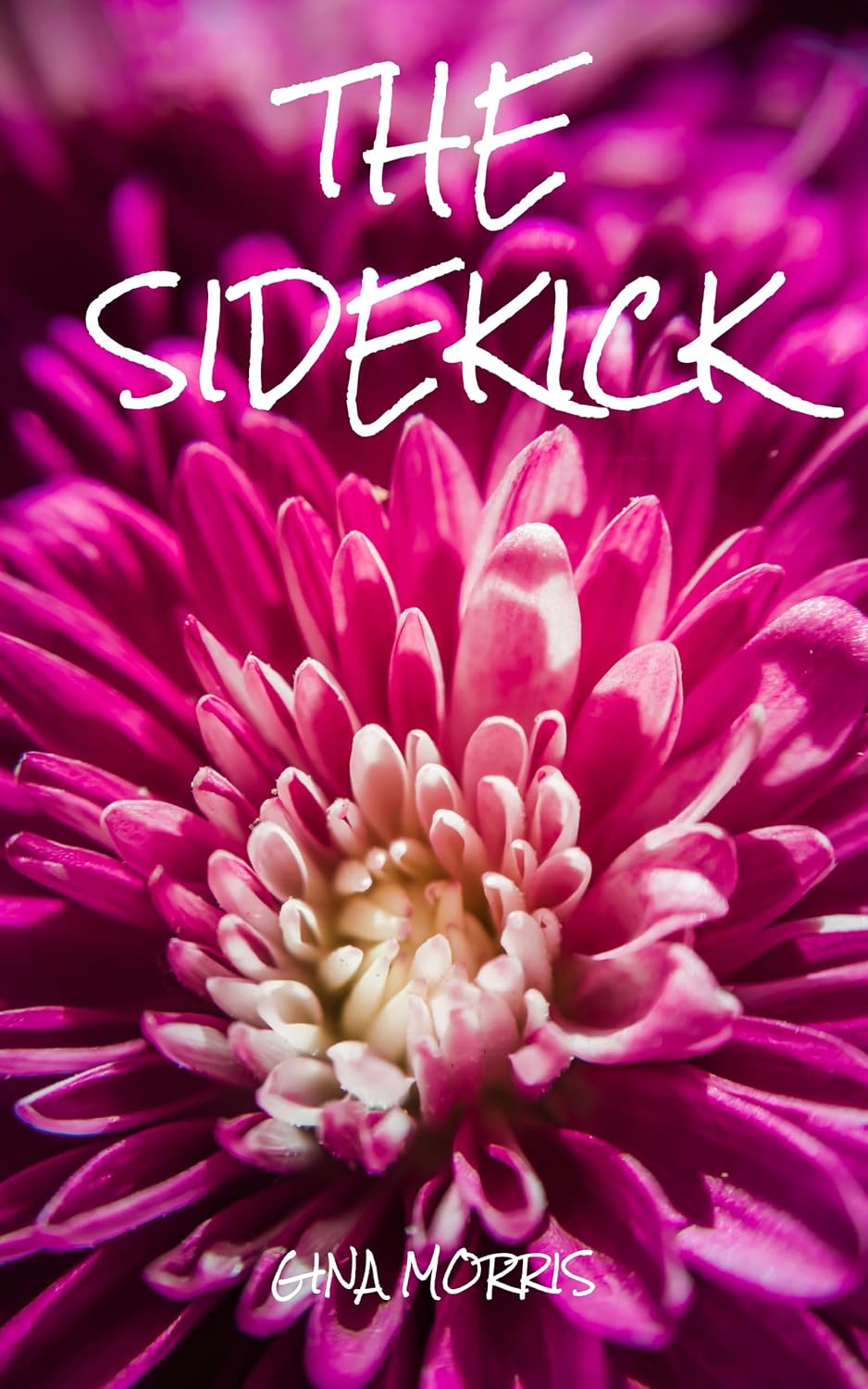 ler totalmente The Sidekick (English Edition)