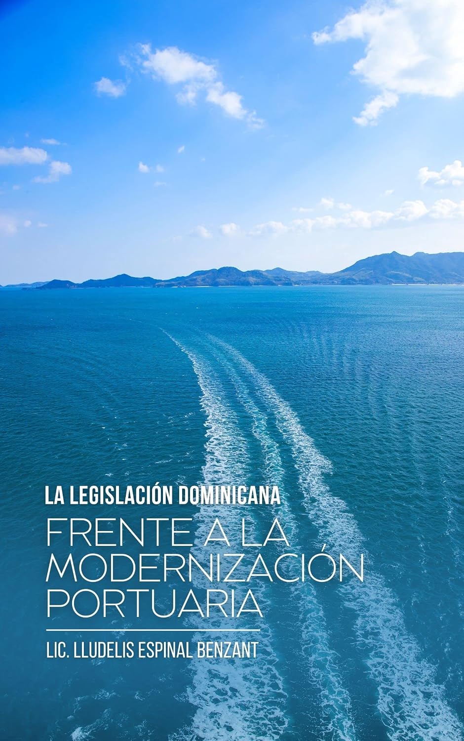La legislación dominicana frente a la modernización Portuaria: Lic. Lludelis Espinal (Spanish Edition) baixar livro de graça