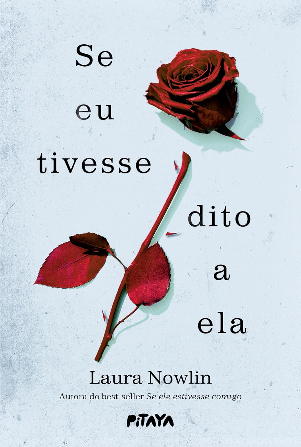 Se eu tivesse dito a ela – Amor, tragédia e luto se misturam nesta sequência do sucesso "Se ele estivesse comigo" baixar livro de graça