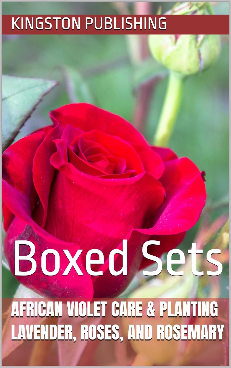 African Violet Care & Planting Lavender, Roses, and Rosemary: Boxed Sets (Growing Potted Flowers) (English Edition) baixar o livro de graça