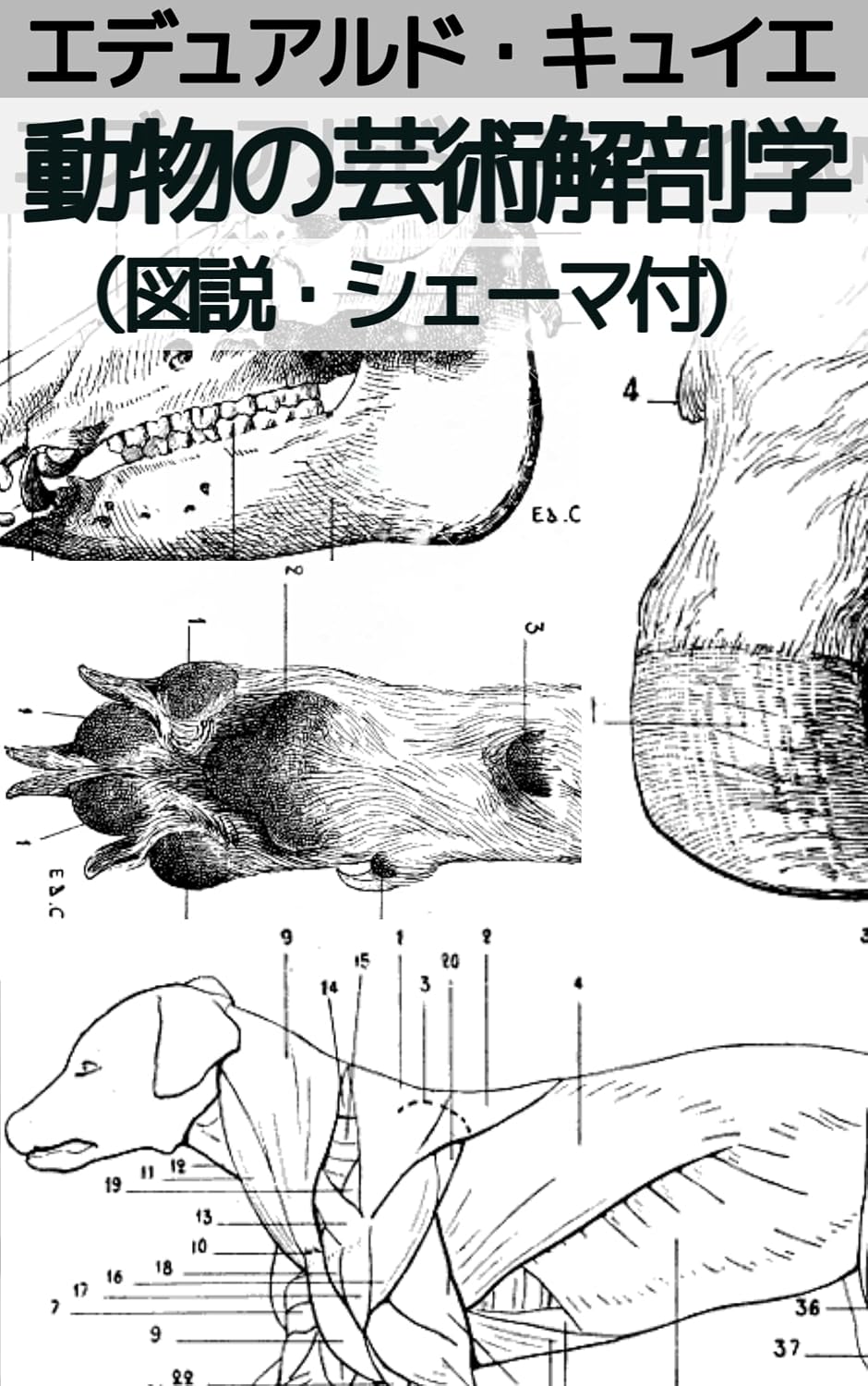 ler totalmente foubutunokaioubkagkauas: francekihondokuhon (Japanese Edition)