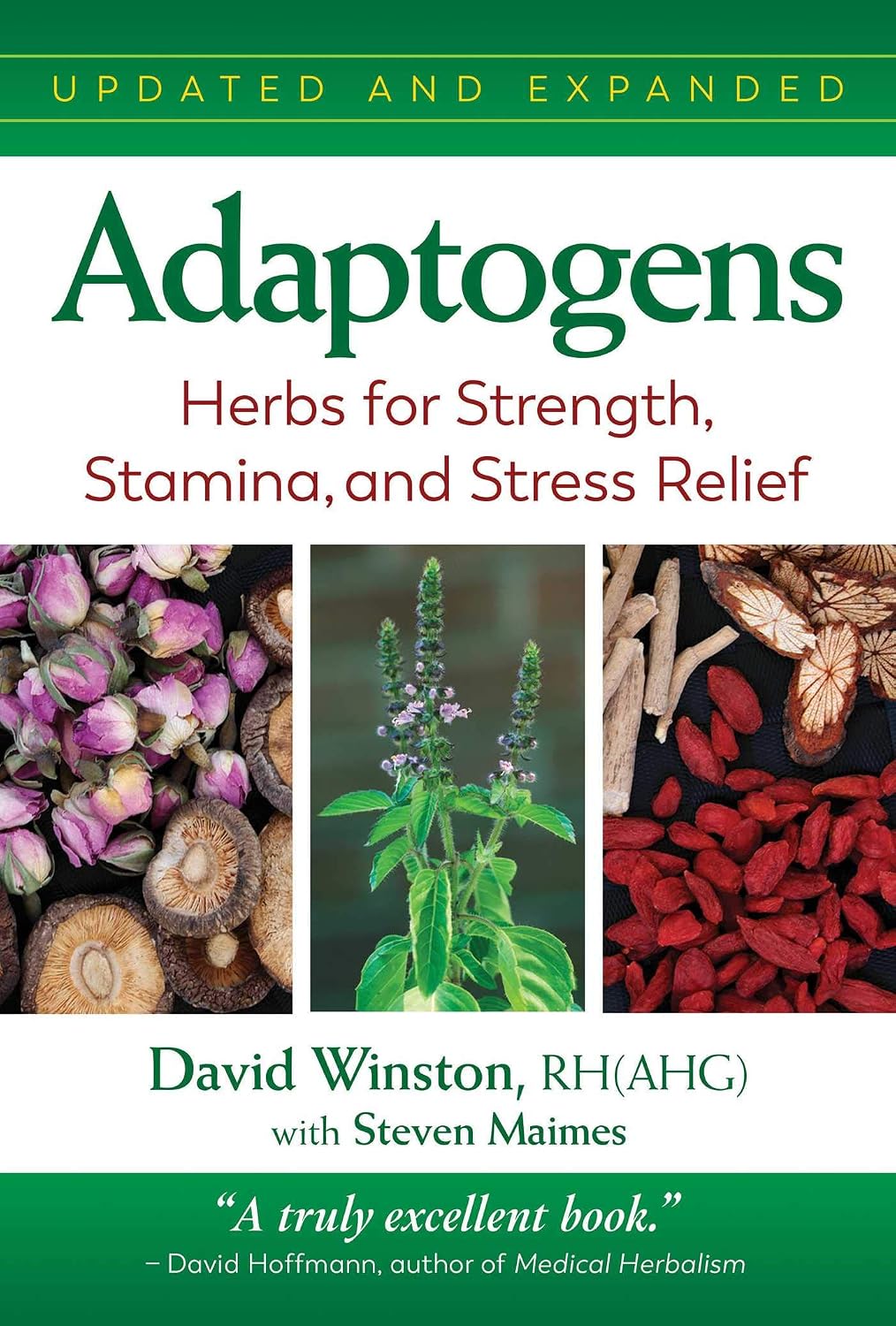 capítulo por capítulo baixar Adaptogens: Herbs for Strength, Stamina, and Stress Relief