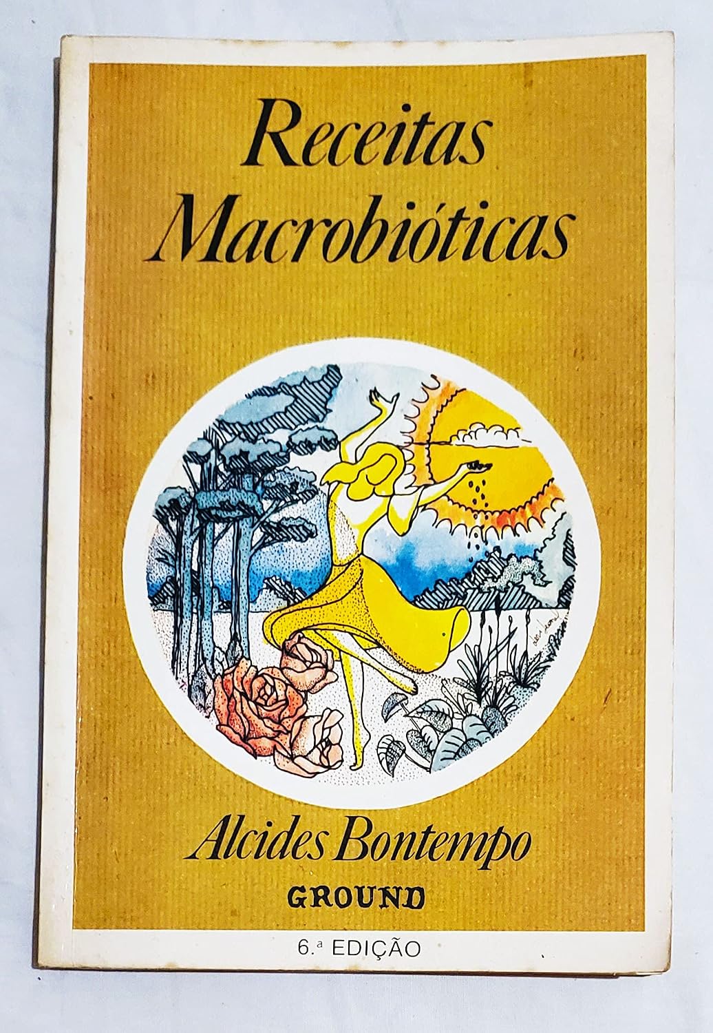 Receitas Macrobióticas baixar livro de graça