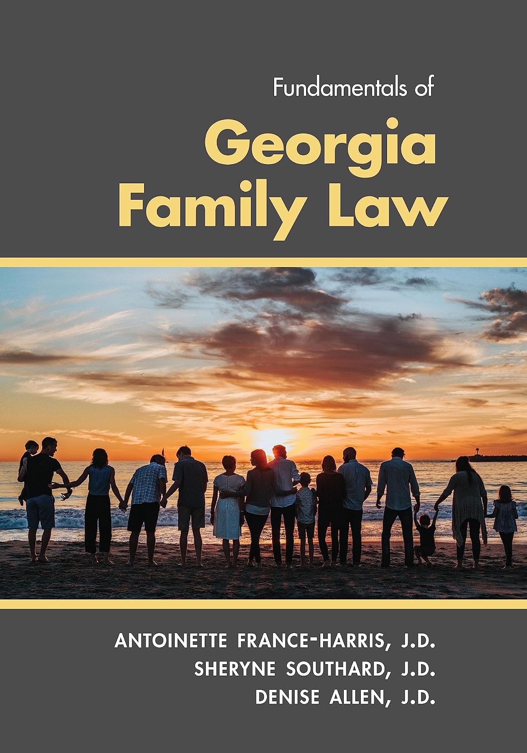 ler totalmente Fundamentals of Georgia Family Law (English Edition)