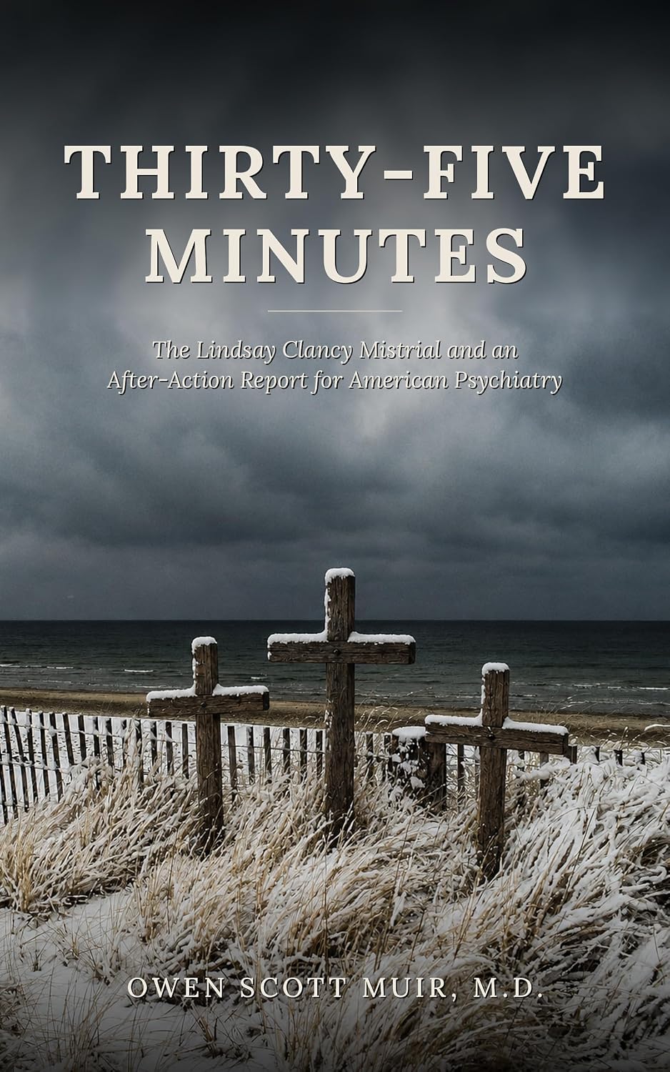 ler totalmente Thirty-Five Minutes: The Lindsay Clancy Mistrial and an After-Action Report for American Psychiatry (English Edition)