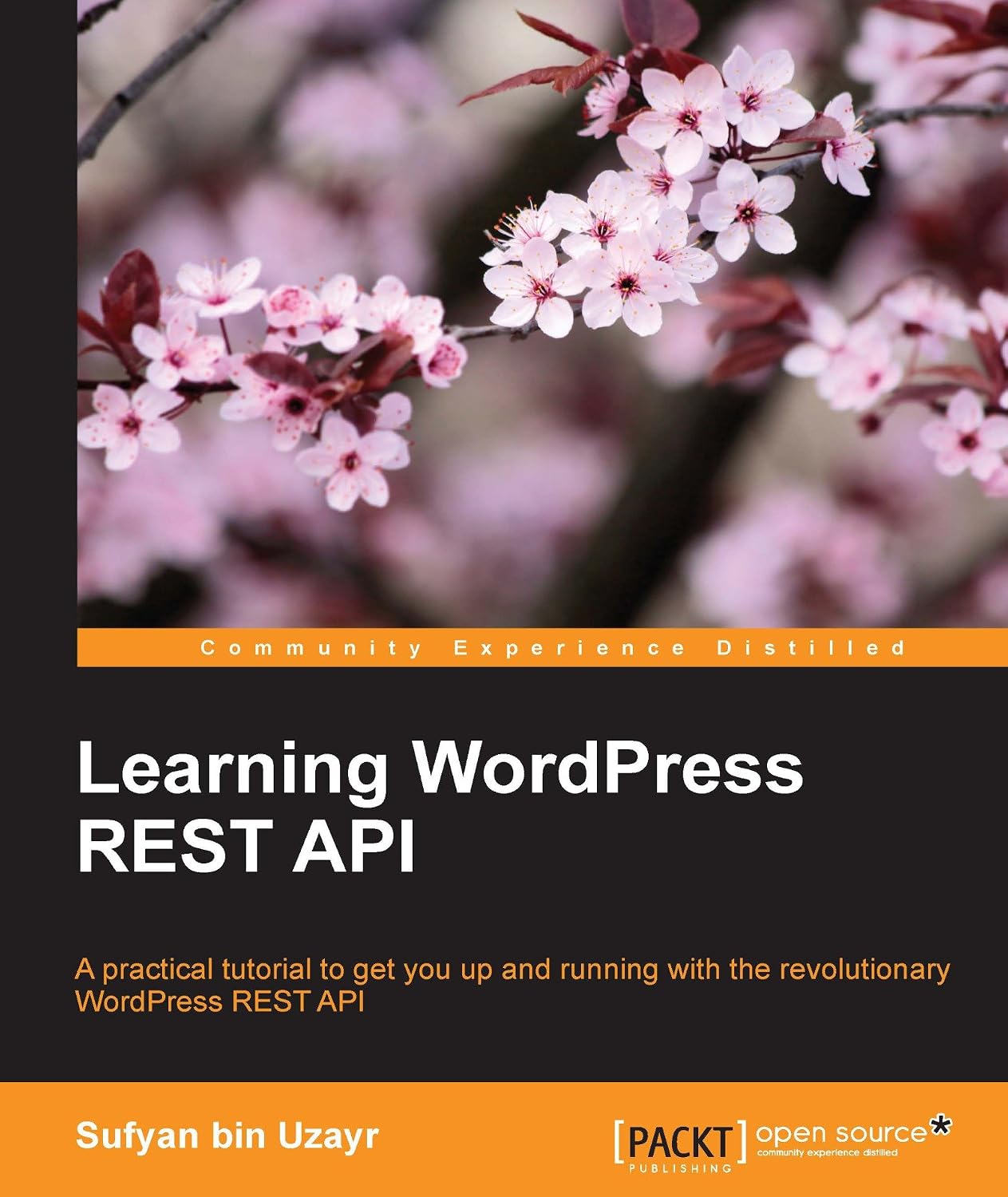 Learning WordPress REST API (English Edition)