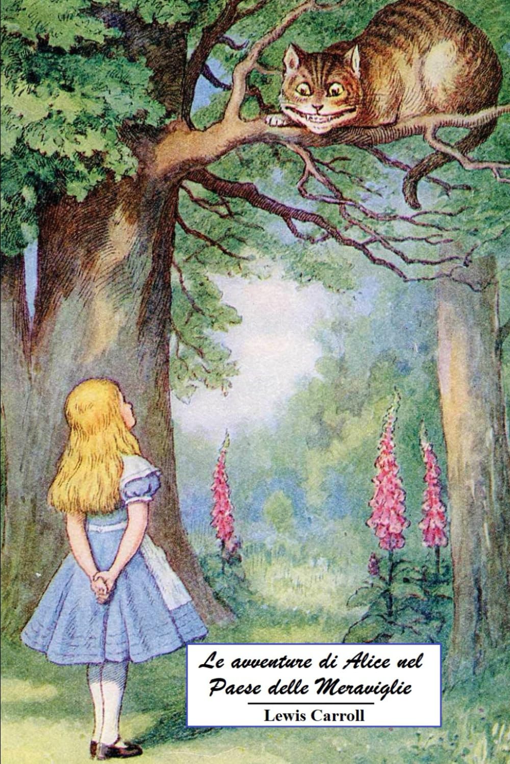 capítulo por capítulo baixar Le avventure di Alice nel Paese delle Meraviglie: Versione integrale con le splendide illustrazioni della prima edizione del 1865 (Italian Edition)