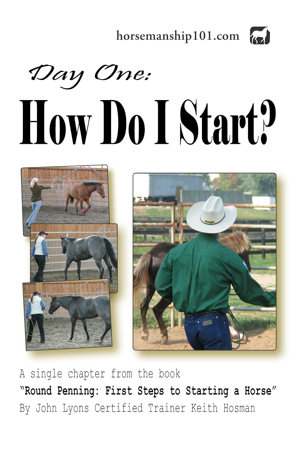 ler totalmente Day One: "How Do I Start?" (Round Penning Book 1) (English Edition)