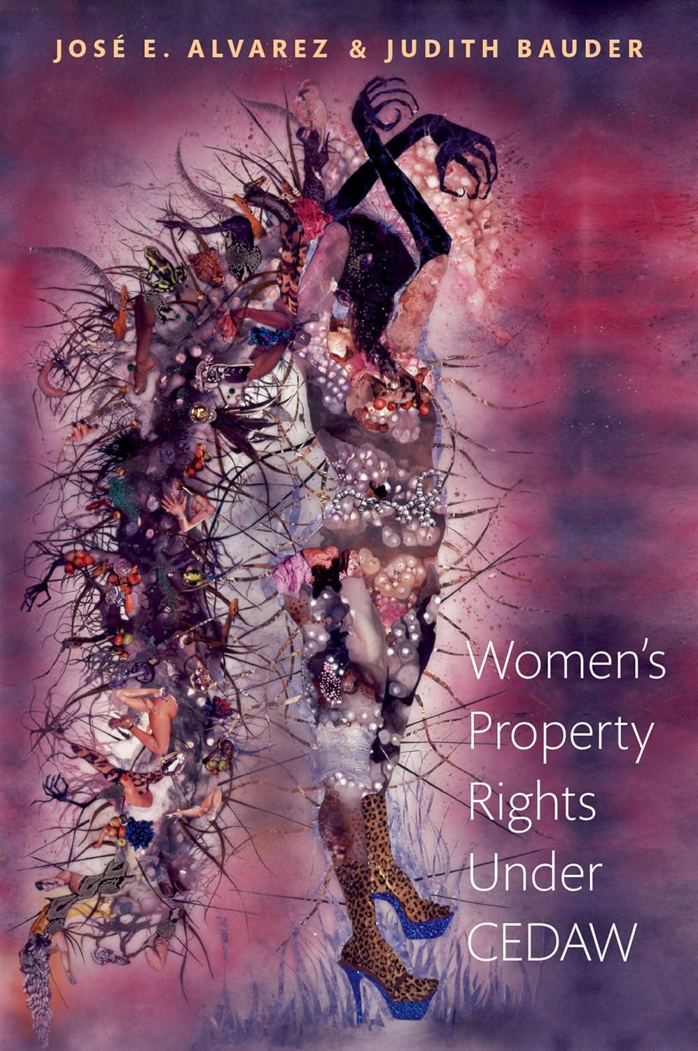 ler totalmente Women's Property Rights Under CEDAW (English Edition)