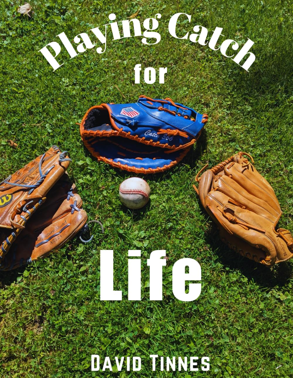 Playing Catch for LIFE baixar livro de graça