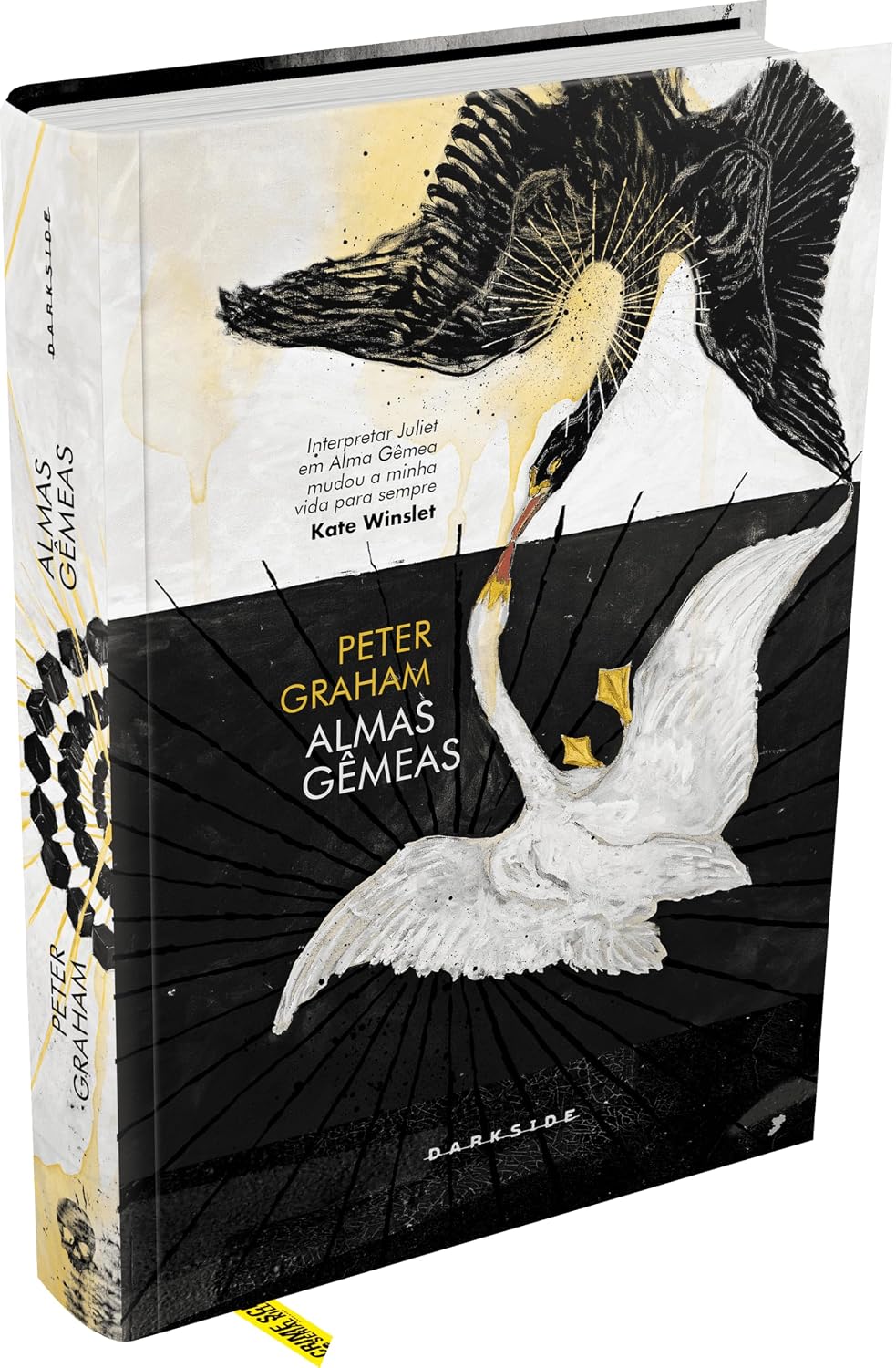 Almas Gêmeas baixar o livro de graça
