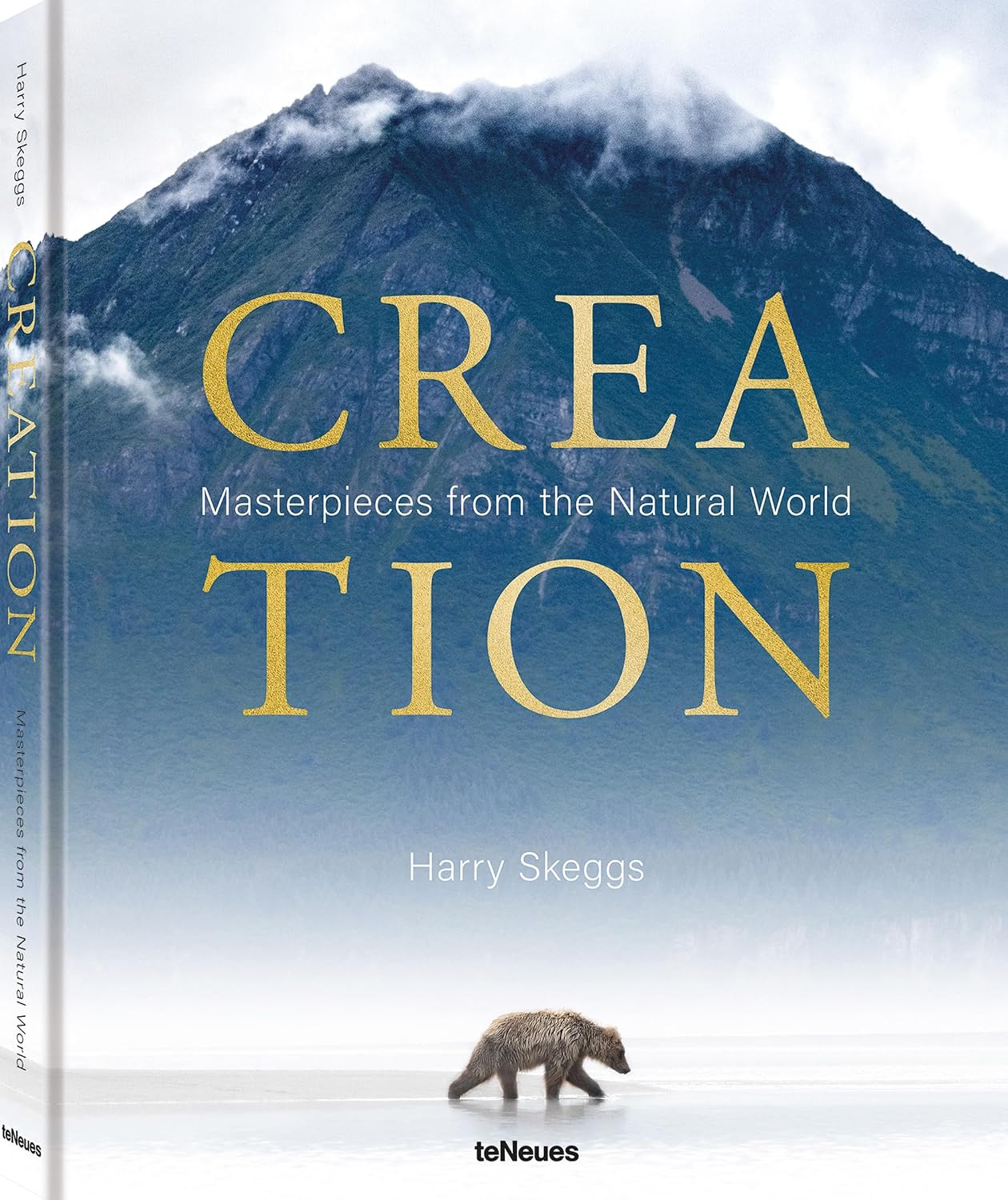 capítulo por capítulo baixar Creation: Masterpieces from the Natural World