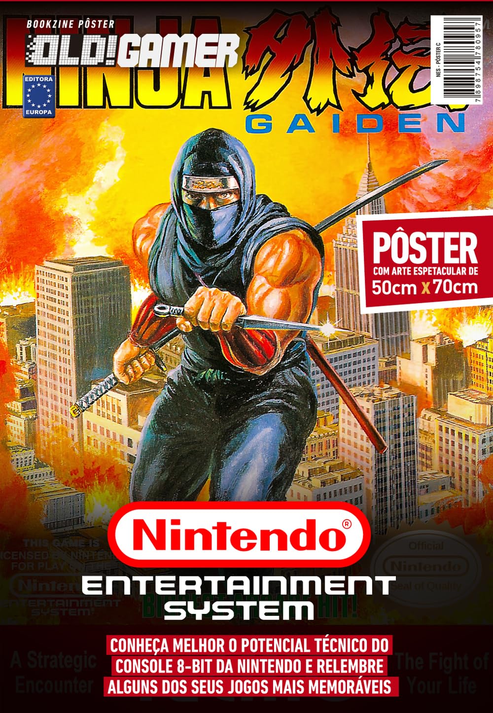 Ninja Gaiden - Superpôster OLD!Gamer baixar livro de graça