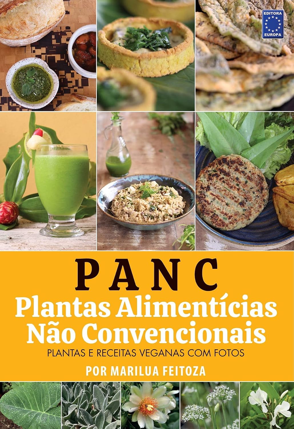 PANC - Plantas Alimentícias Não Convencionais baixar o livro de graça