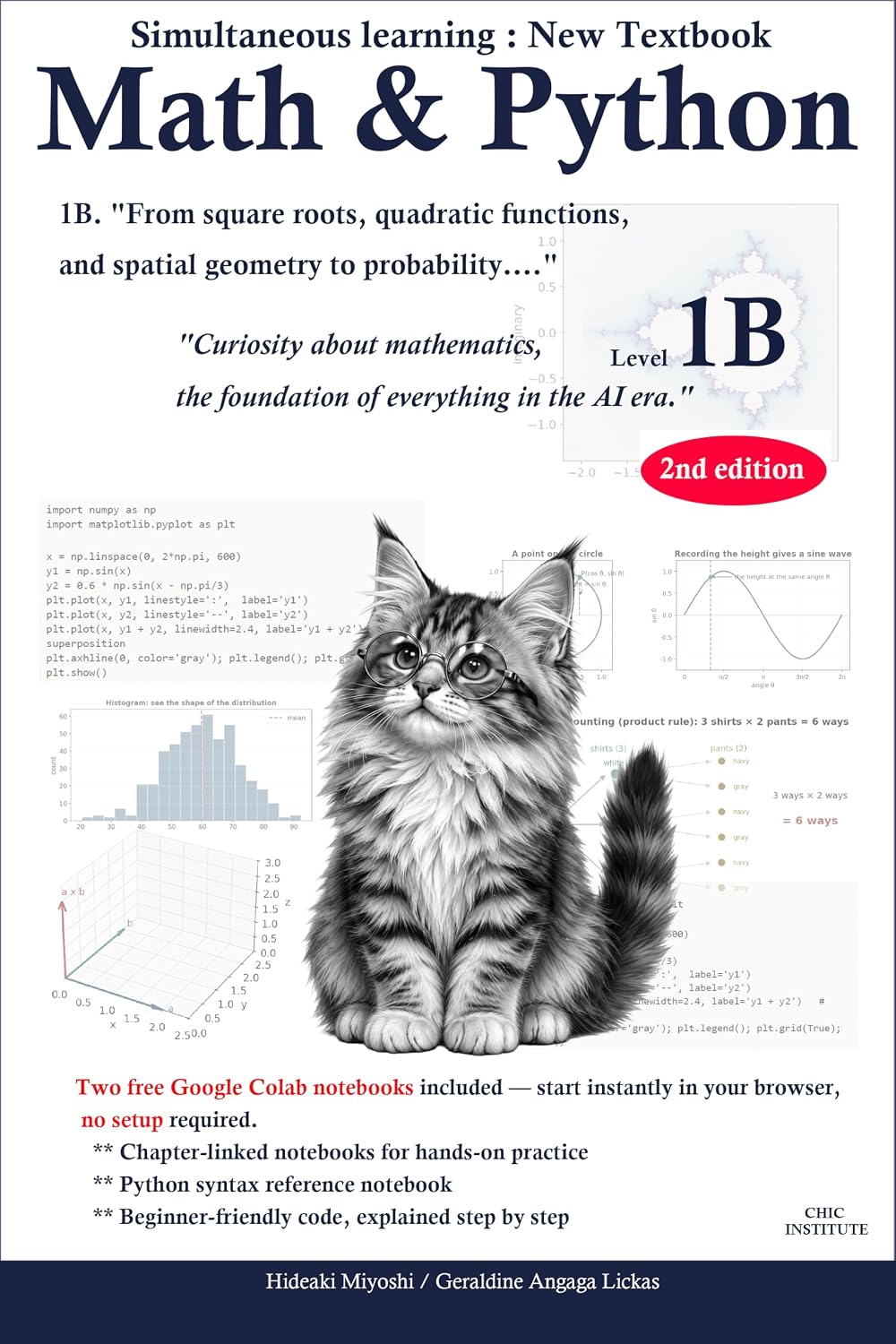 Math & Python - Level 1B (Math & Python Textbook Book 2) (English Edition)
