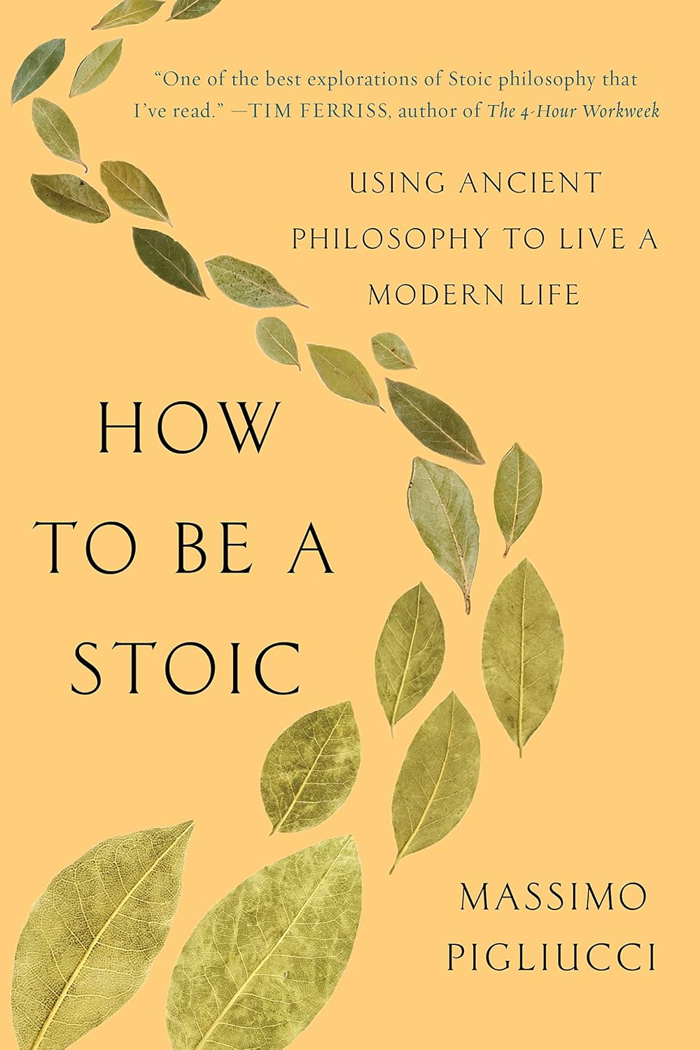 ler totalmente How to Be a Stoic: Using Ancient Philosophy to Live a Modern Life