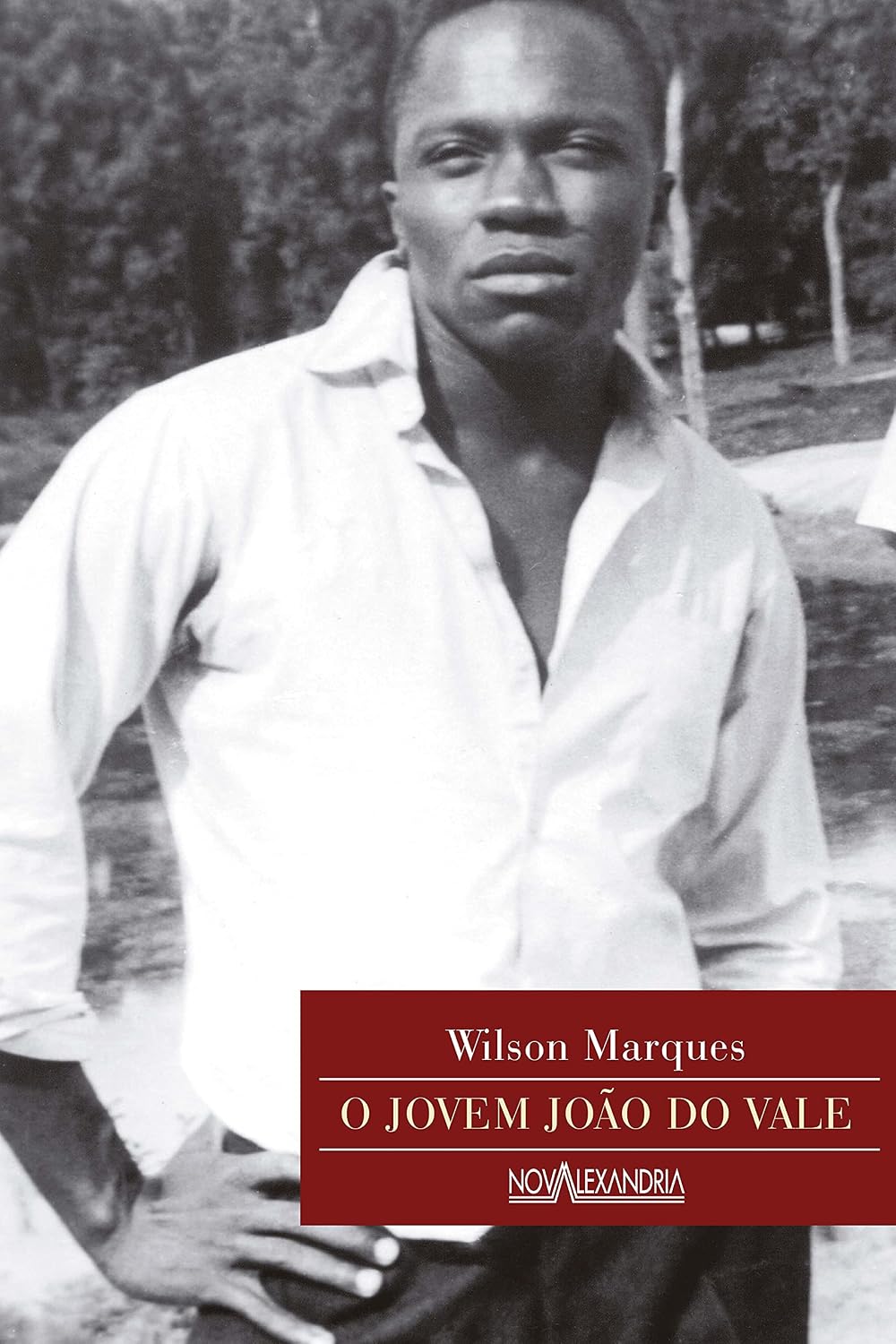 O jovem João do Vale (Jovens sem fronteira) baixar o livro de graça