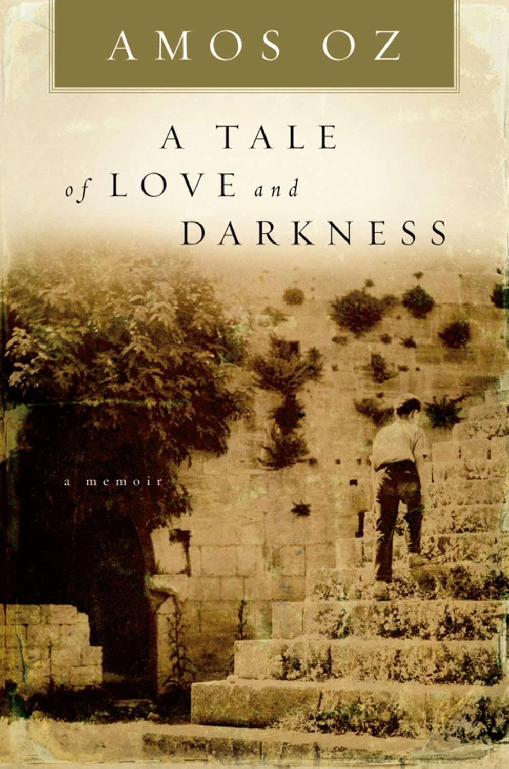 A Tale of Love and Darkness