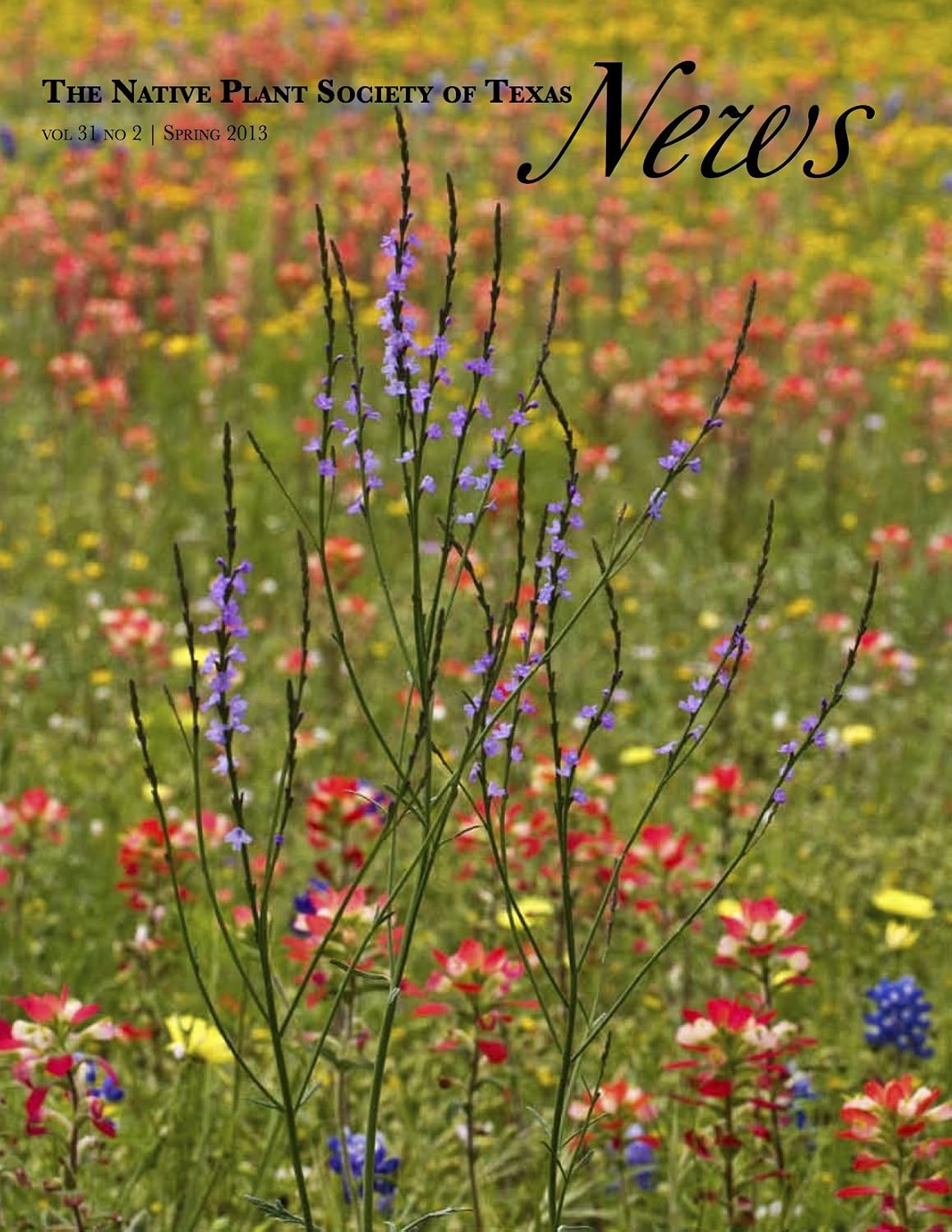 ler totalmente Spring 2013 - Native Plant Society of Texas News (English Edition)