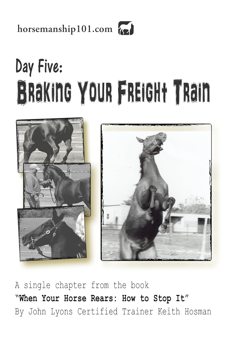 Day Five: Braking Your Freight Train (When Your Horse Rears Book 5) (English Edition) baixar livro de graça