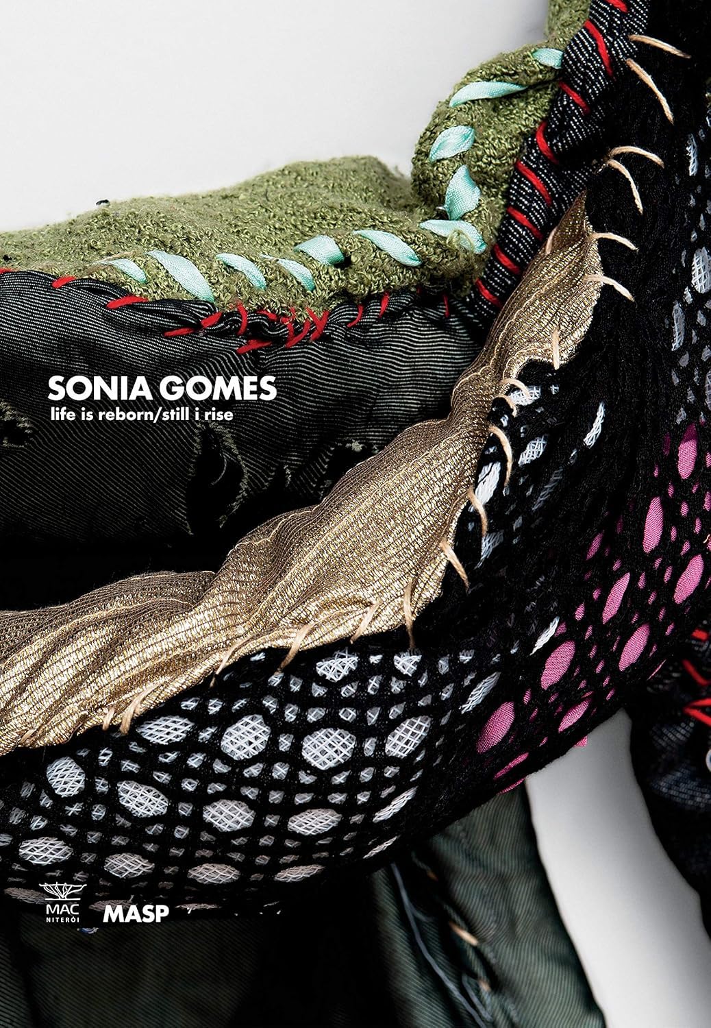 Sonia Gomes: life is reborn/still I rise baixar o livro de graça